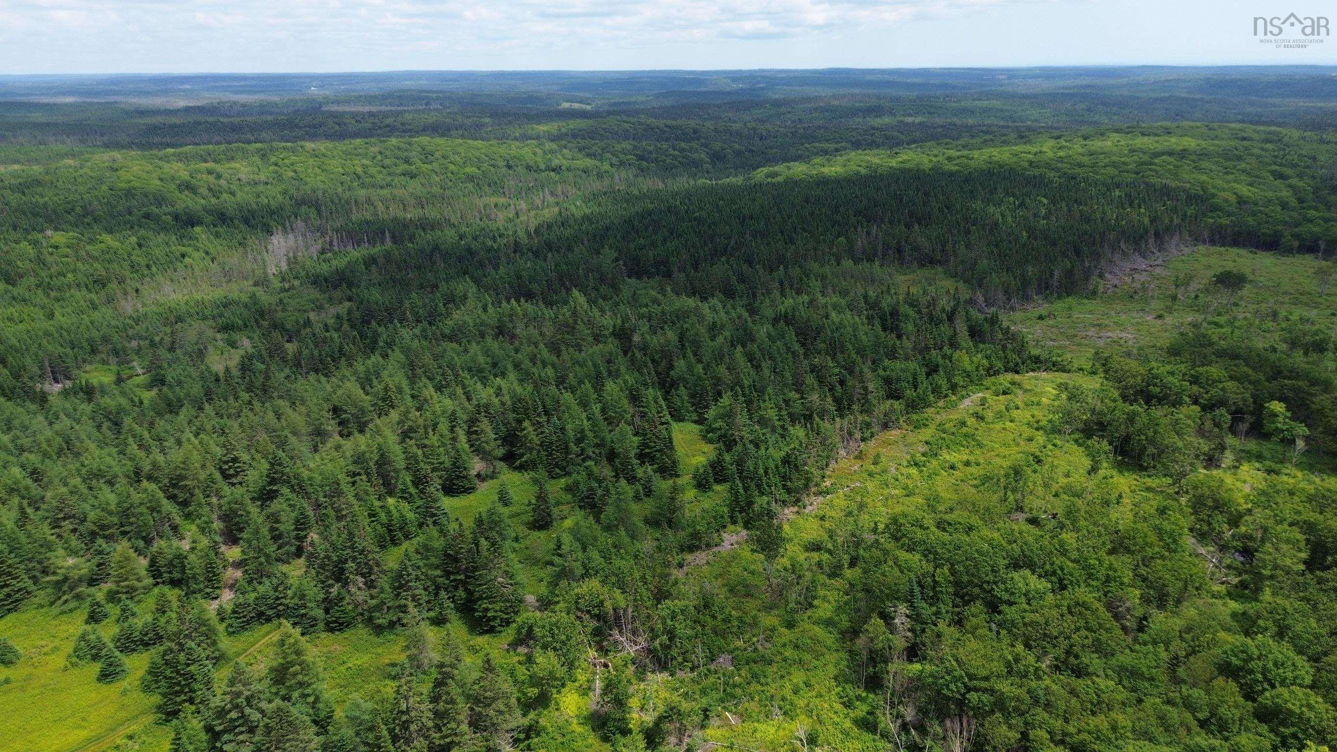 $119,000.00: Lot Shaws Road, Lewis Cove Road