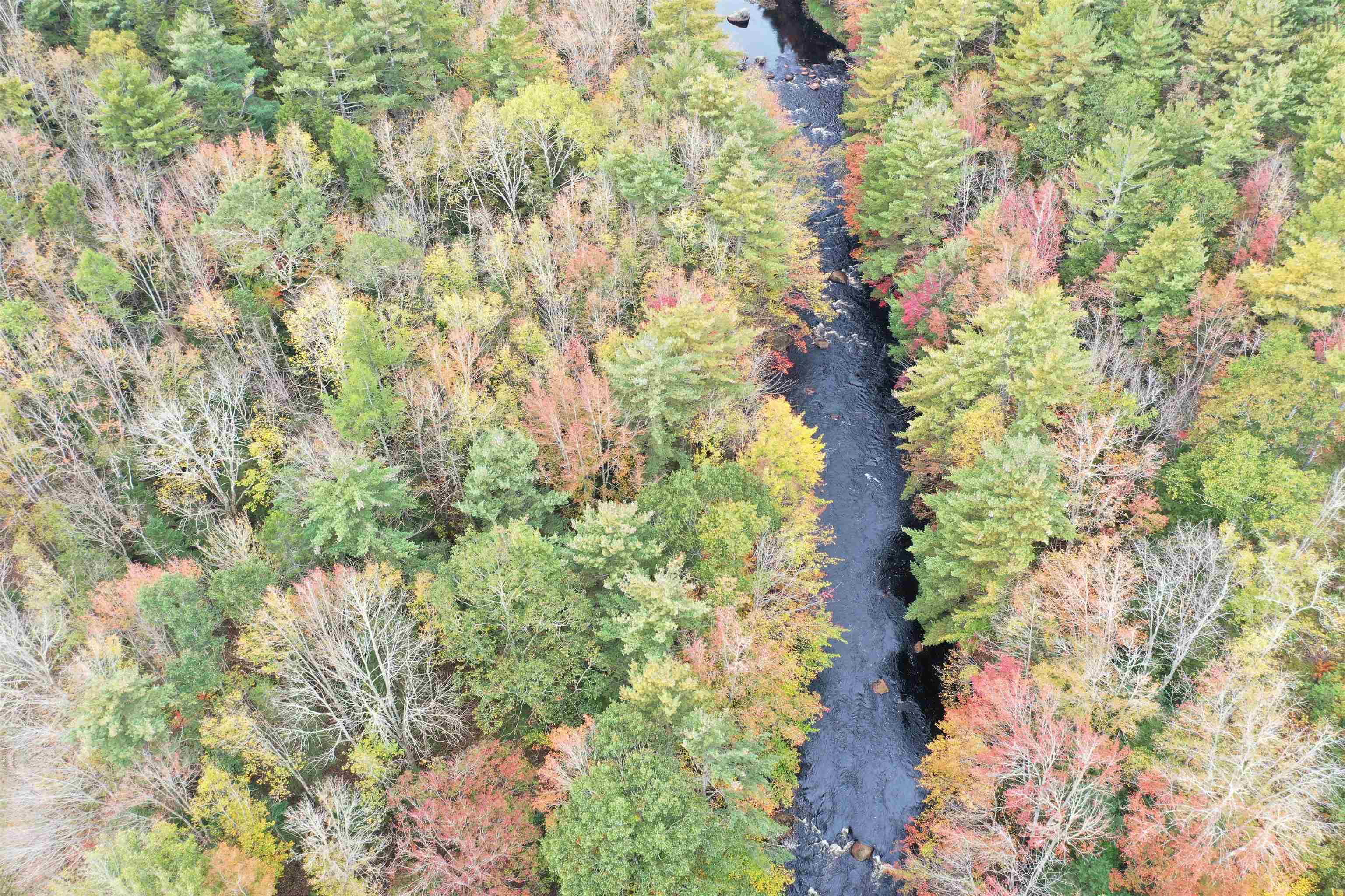 $4,000,000.00: 2249 Upper Branch Road, Midville Branch