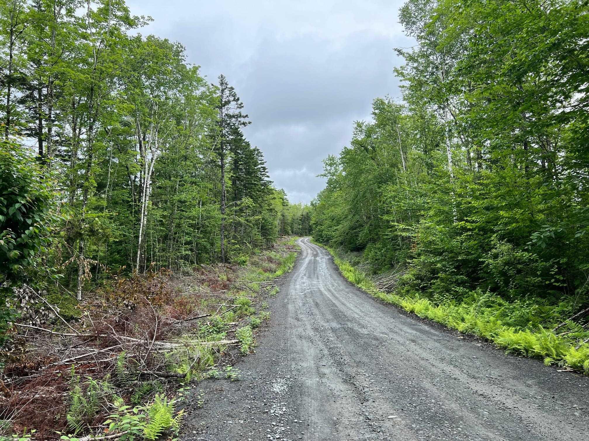 $41,000.00: 55 Russells Cove Road, Parkdale