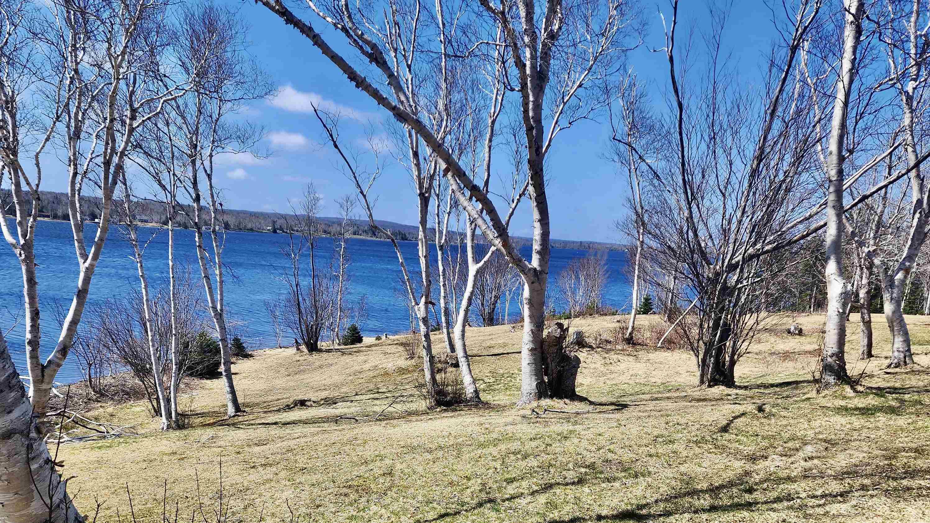 $499,900.00: 4118 Hwy. 22, Mira Albert Bridge