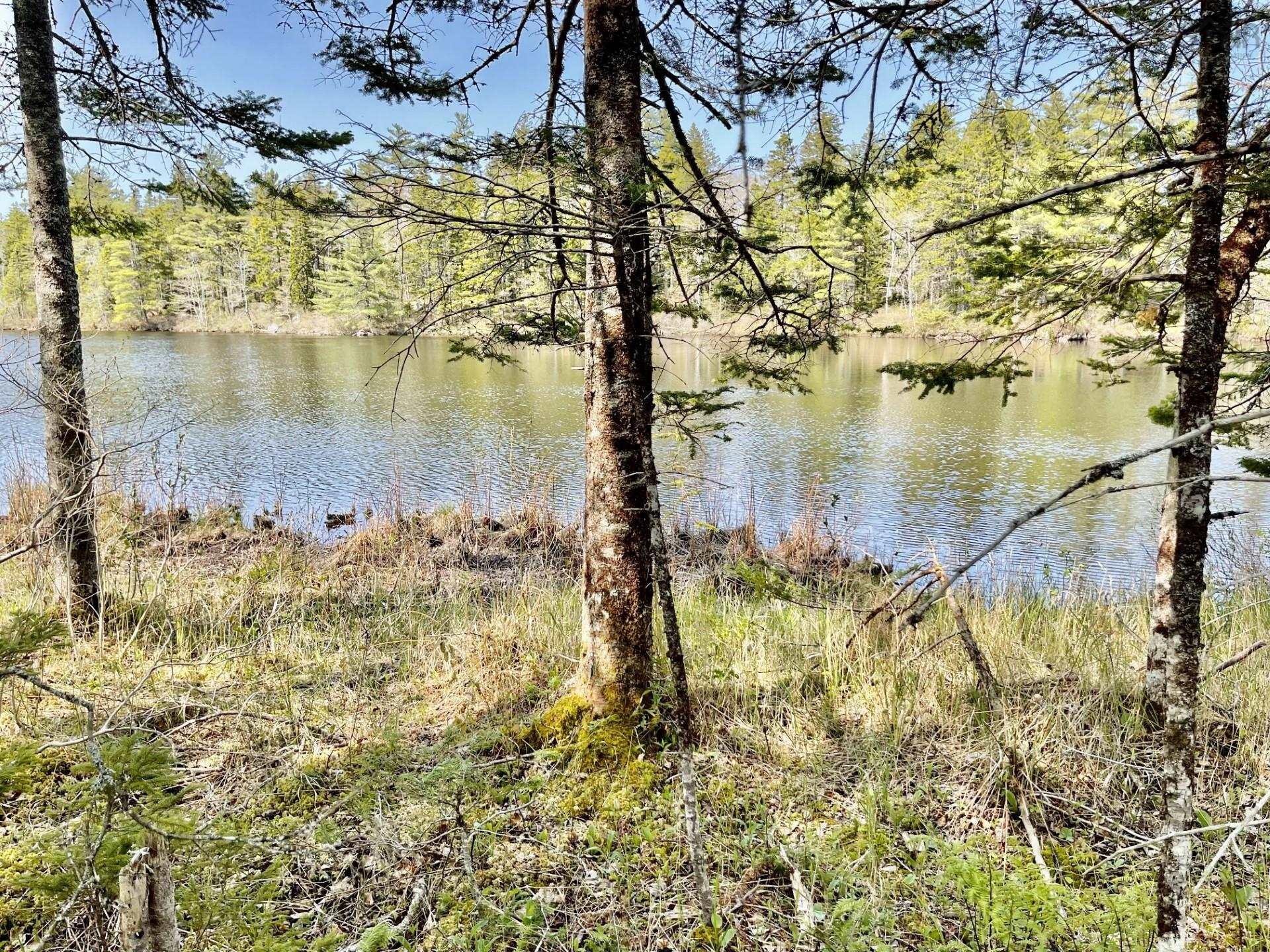 $129,000.00: Lot 3 Pigott Lake Road, Lakelands