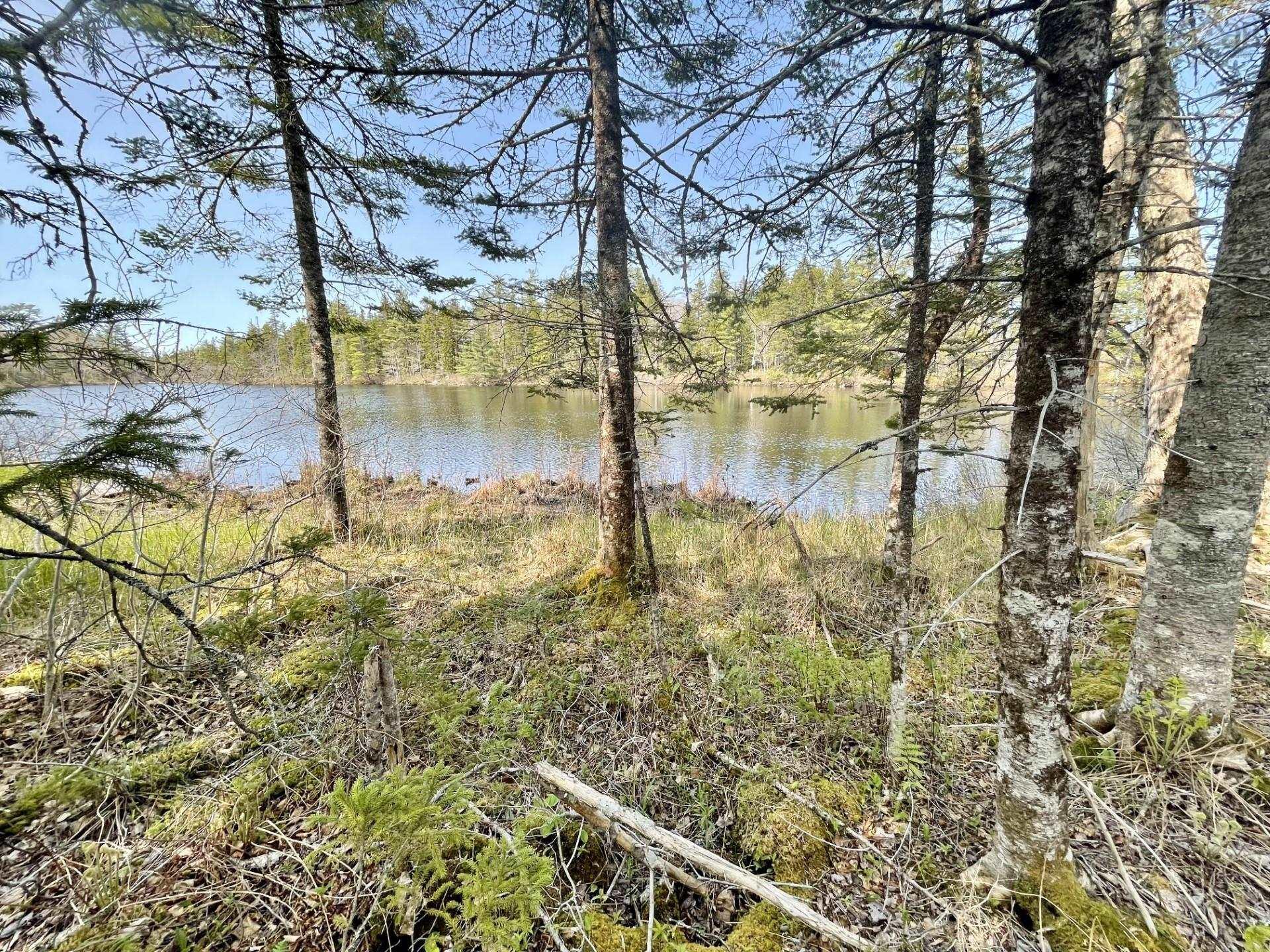 $129,000.00: Lot 3 Pigott Lake Road, Lakelands