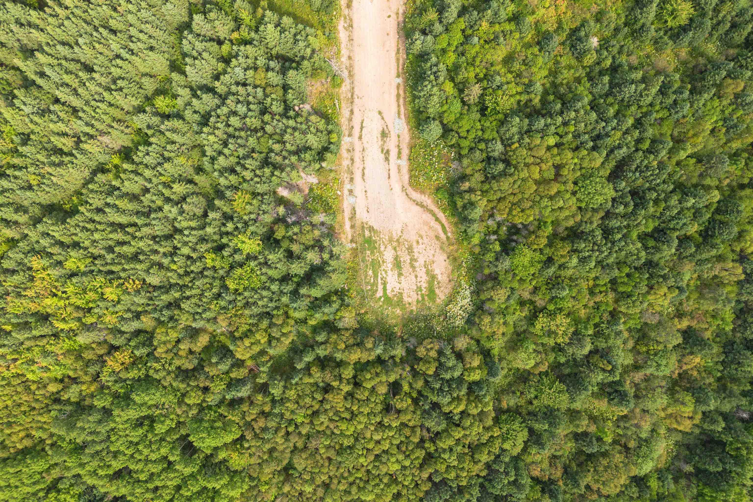 $33,500.00: Lot 7 No 19 Highway, Troy