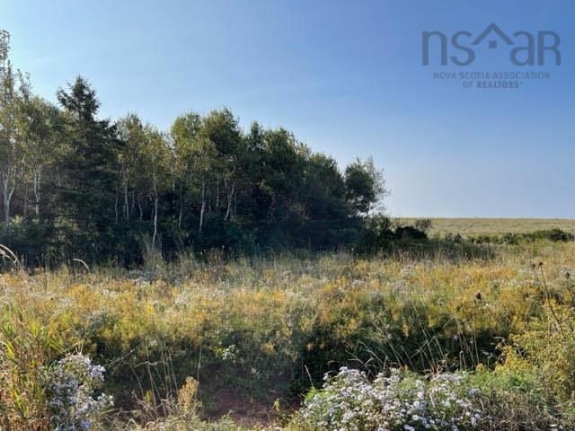 $89,000.00: Lot 20 Pugwash Point Road, Pugwash