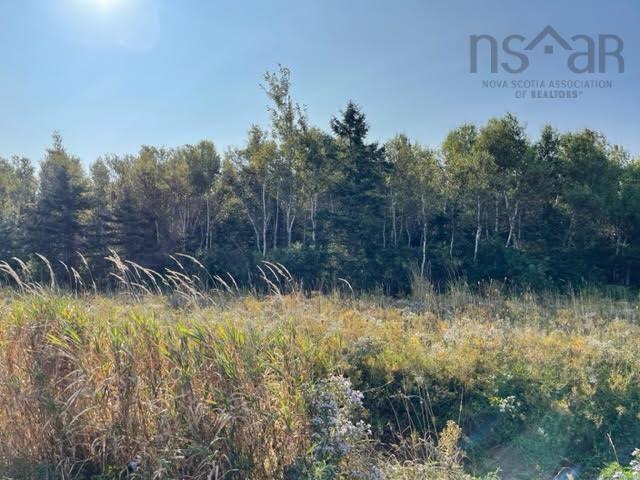 $99,000.00: Lot 21 Pugwash Point Road, Pugwash