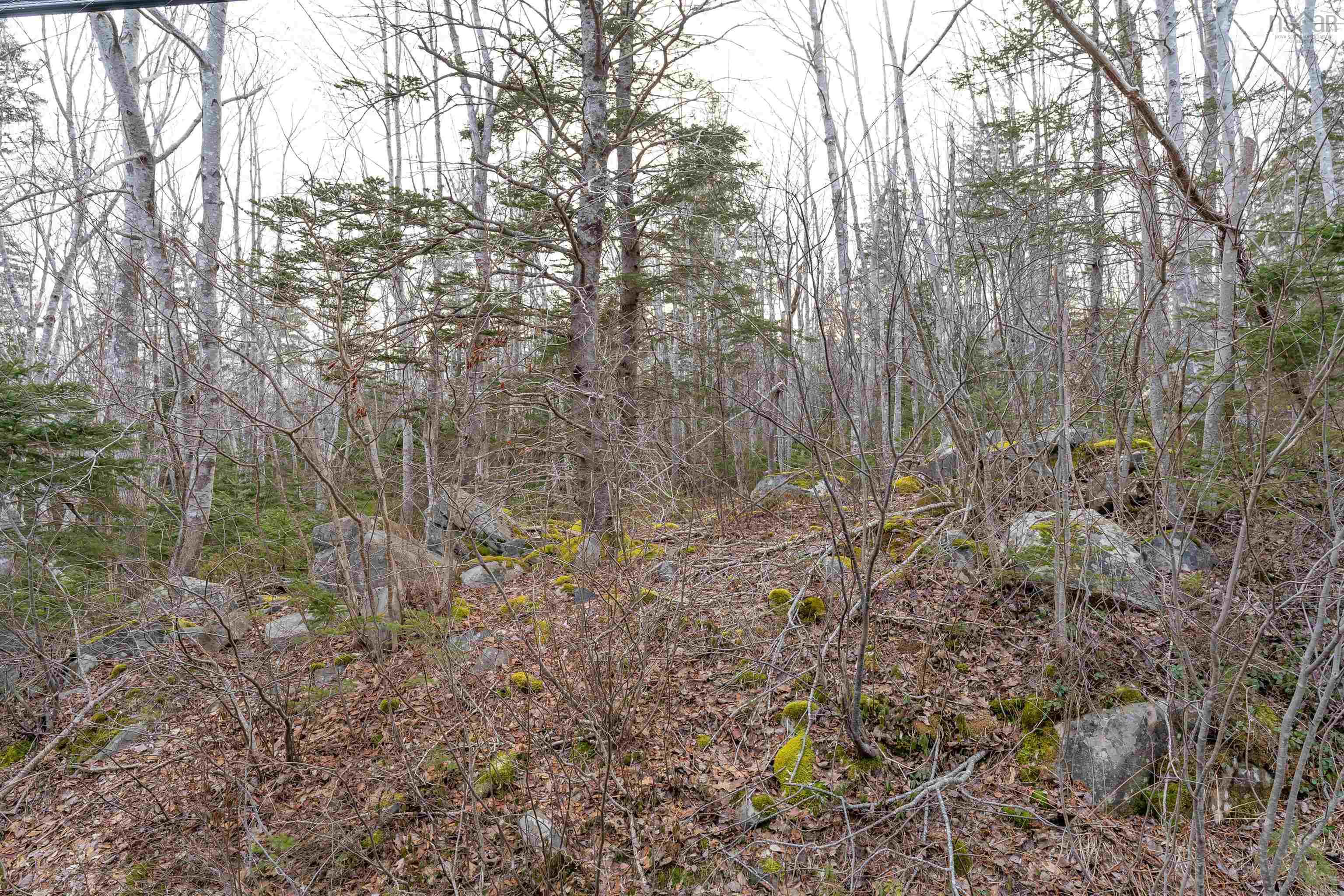$26,500.00: 1A Lot 1A Port Medway road, Port Medway, Nova Road, Port Medway