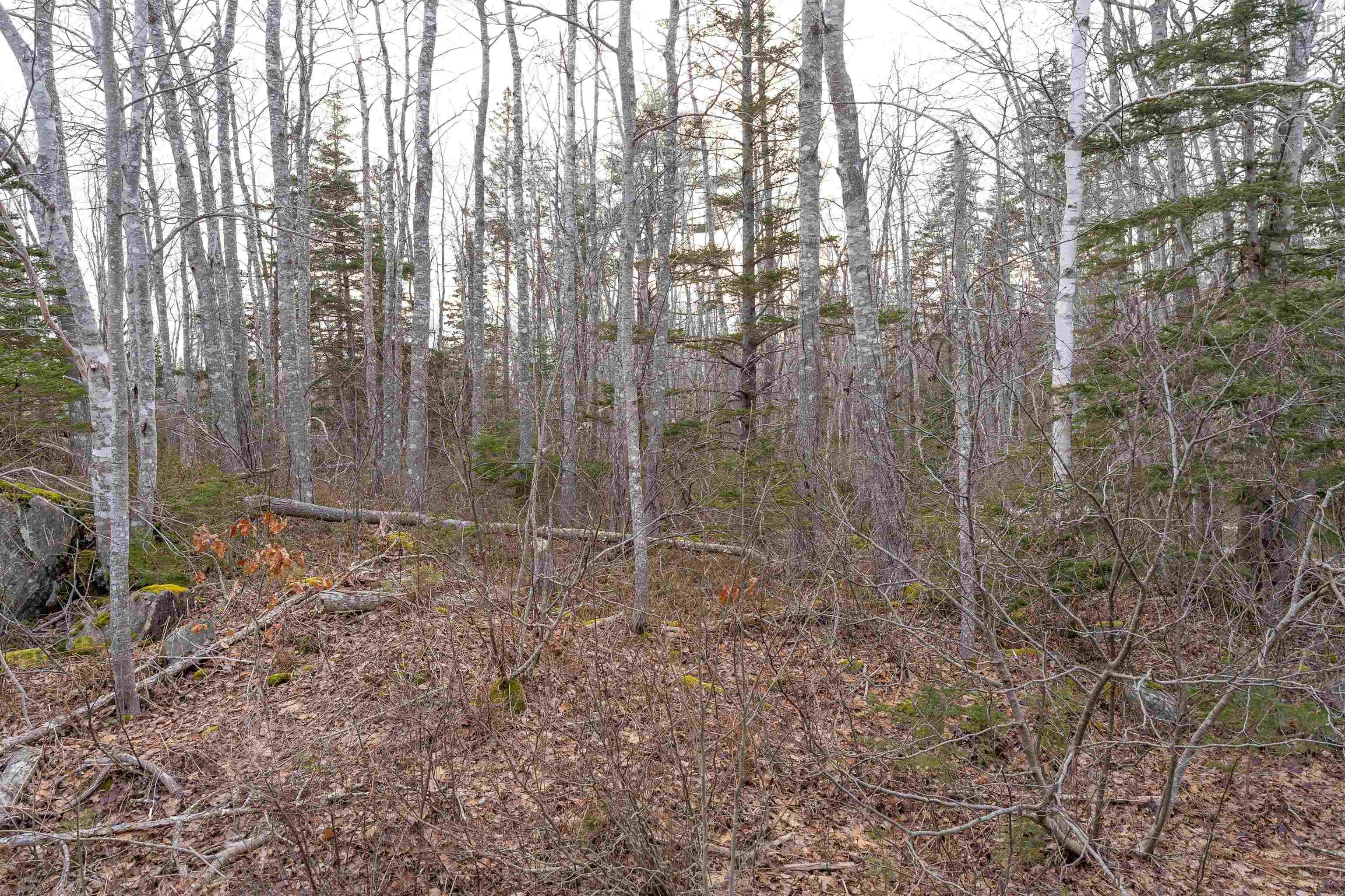 $21,000.00: 2 Port Medway road, Port Medway, Nova Road, Port Medway