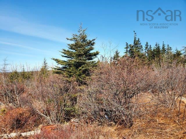 $39,000.00: Rocky's Road, Woods Harbour