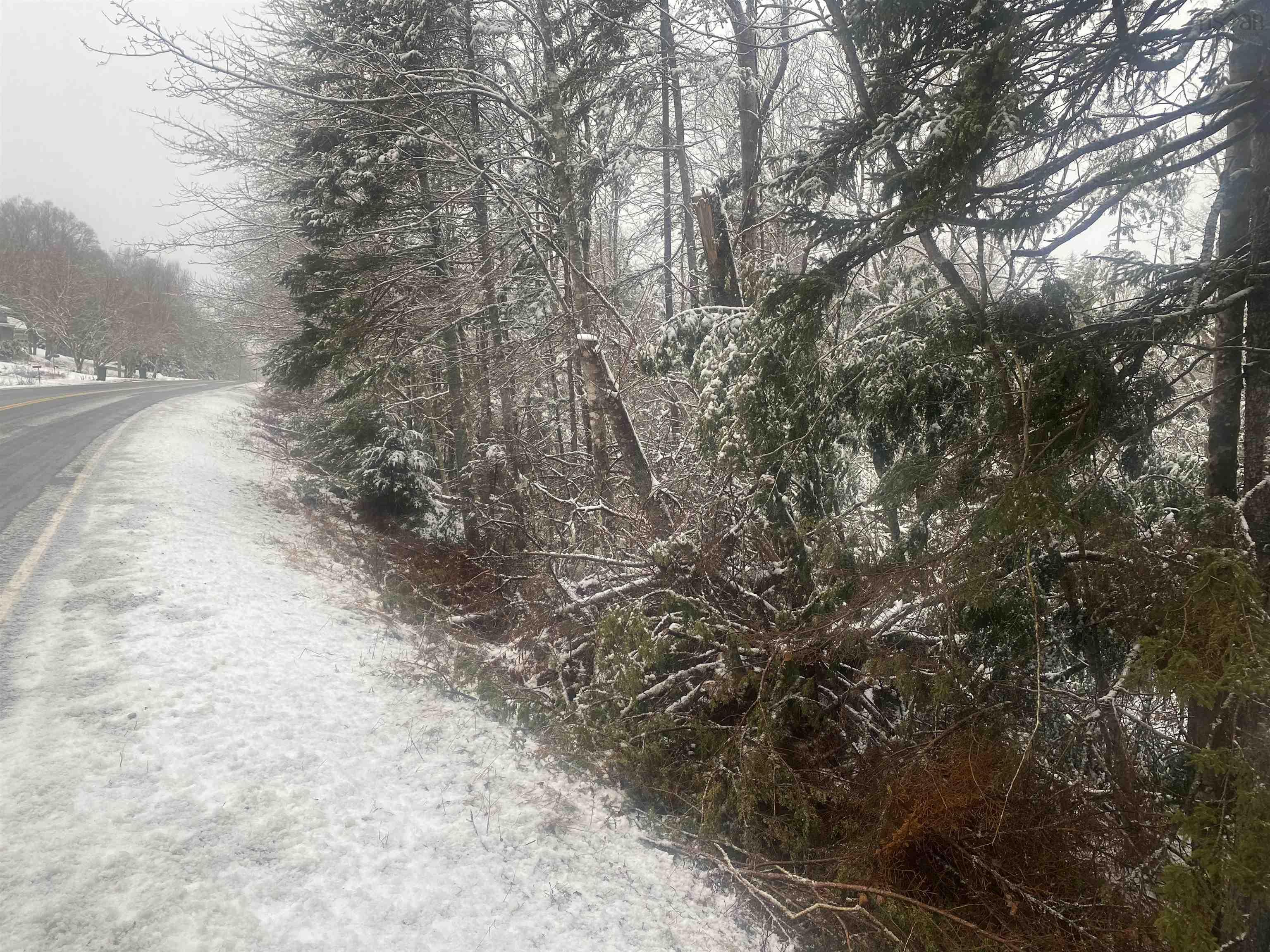 $55,000.00: Lot 9 Highway 357, Musquodoboit Harbour