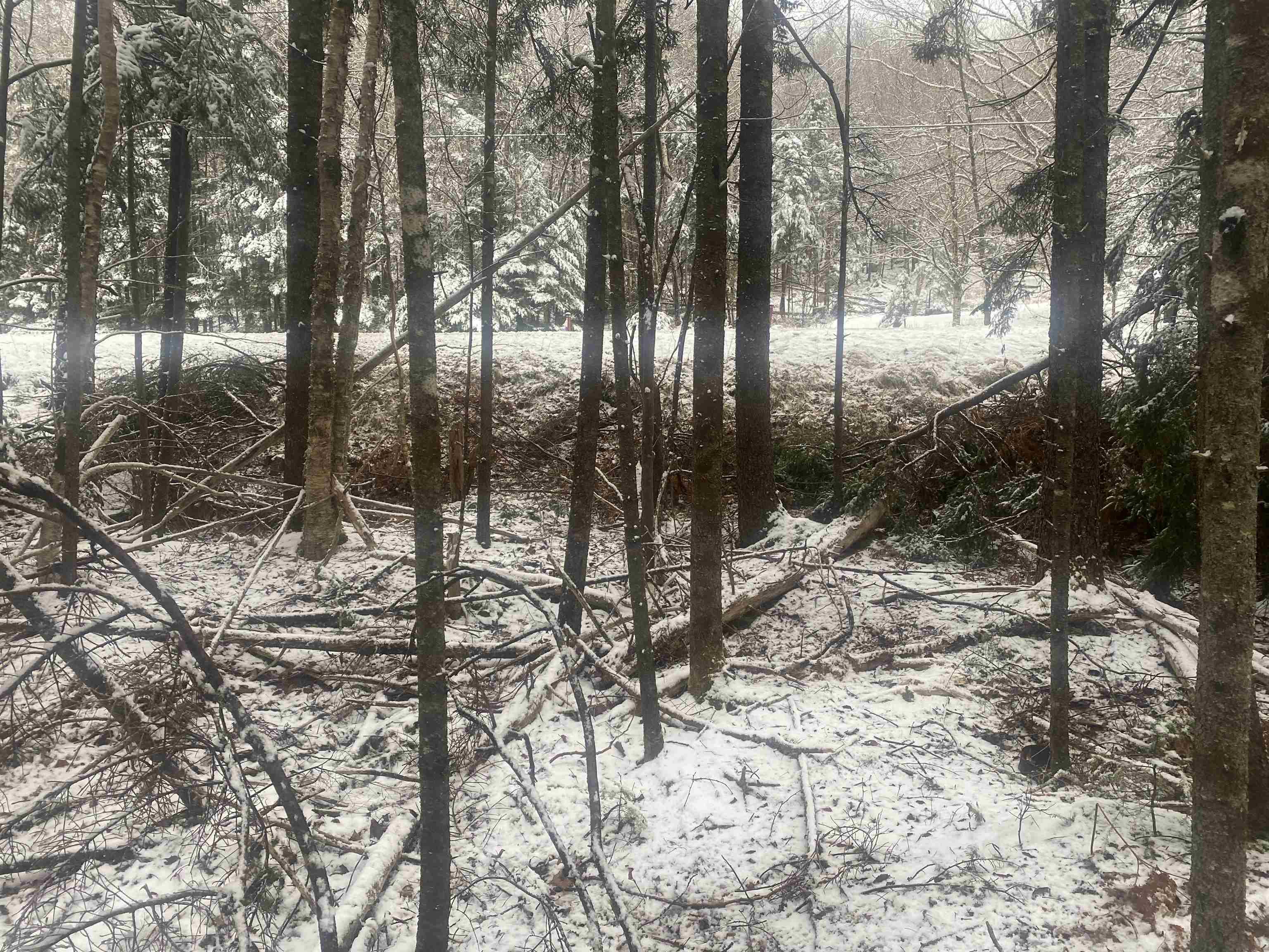 $55,000.00: Lot 9 Highway 357, Musquodoboit Harbour