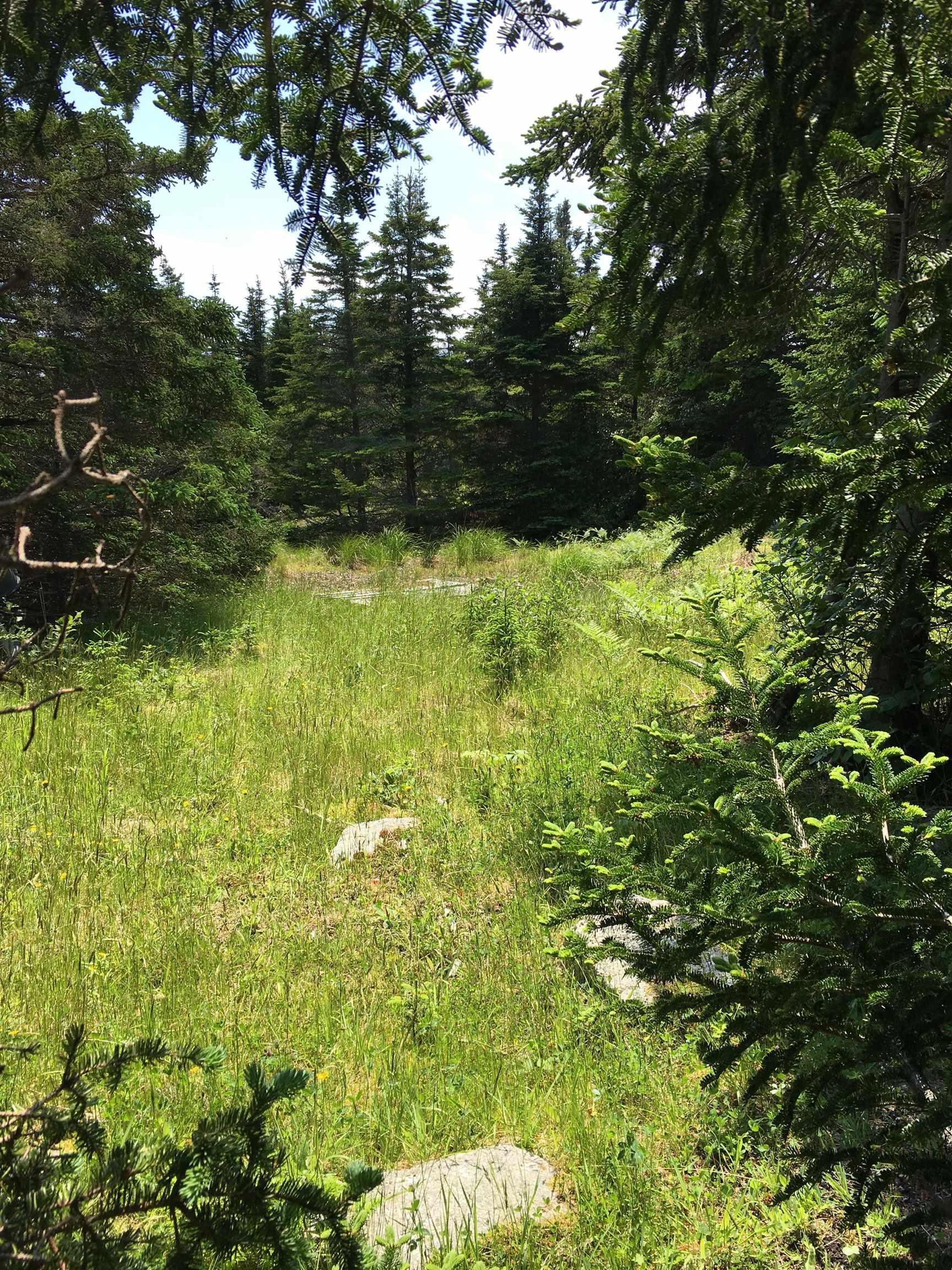 $70,000.00: 461 Whitehead road, Whitehead