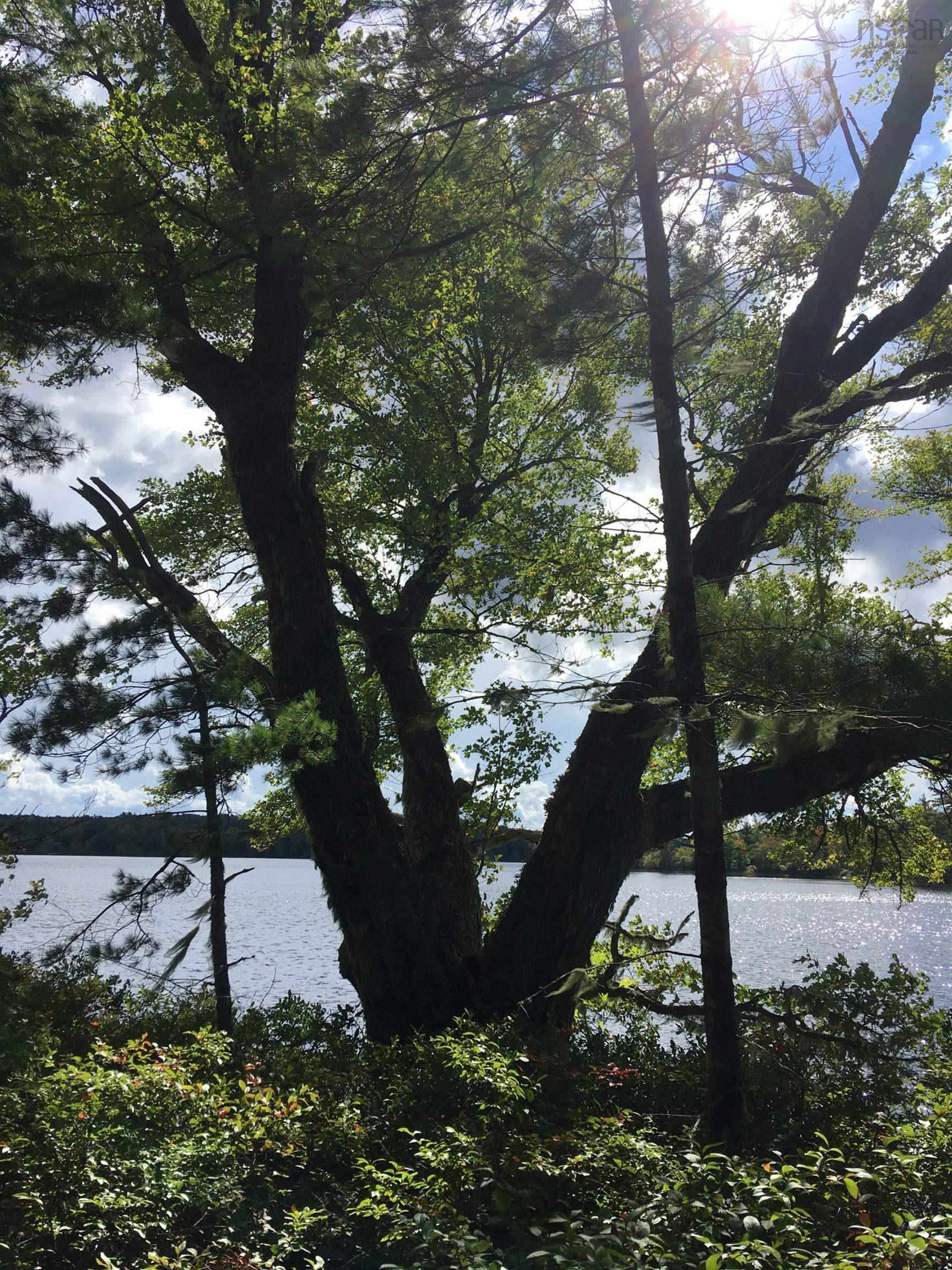 $169,000.00: Lot D Back Lake Road, Upper Ohio
