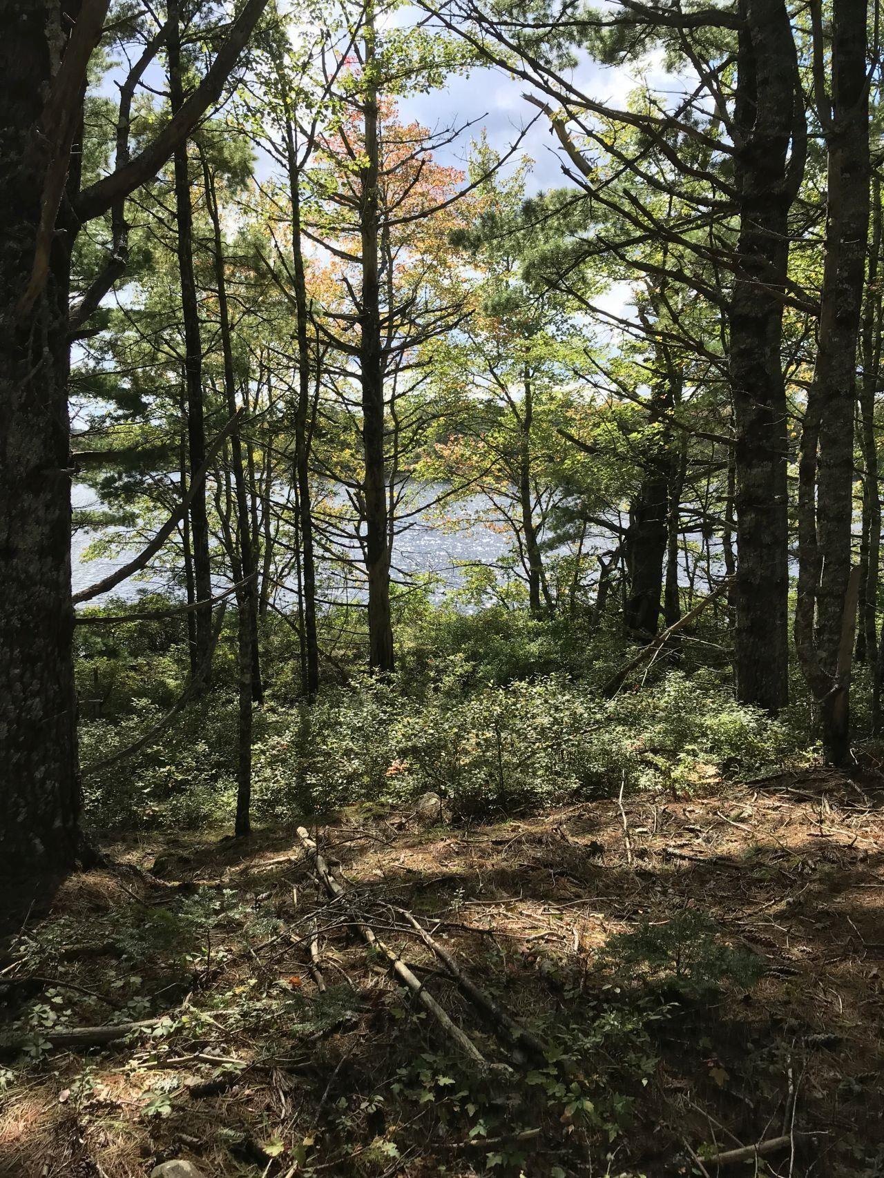 $169,000.00: Lot D Back Lake Road, Upper Ohio