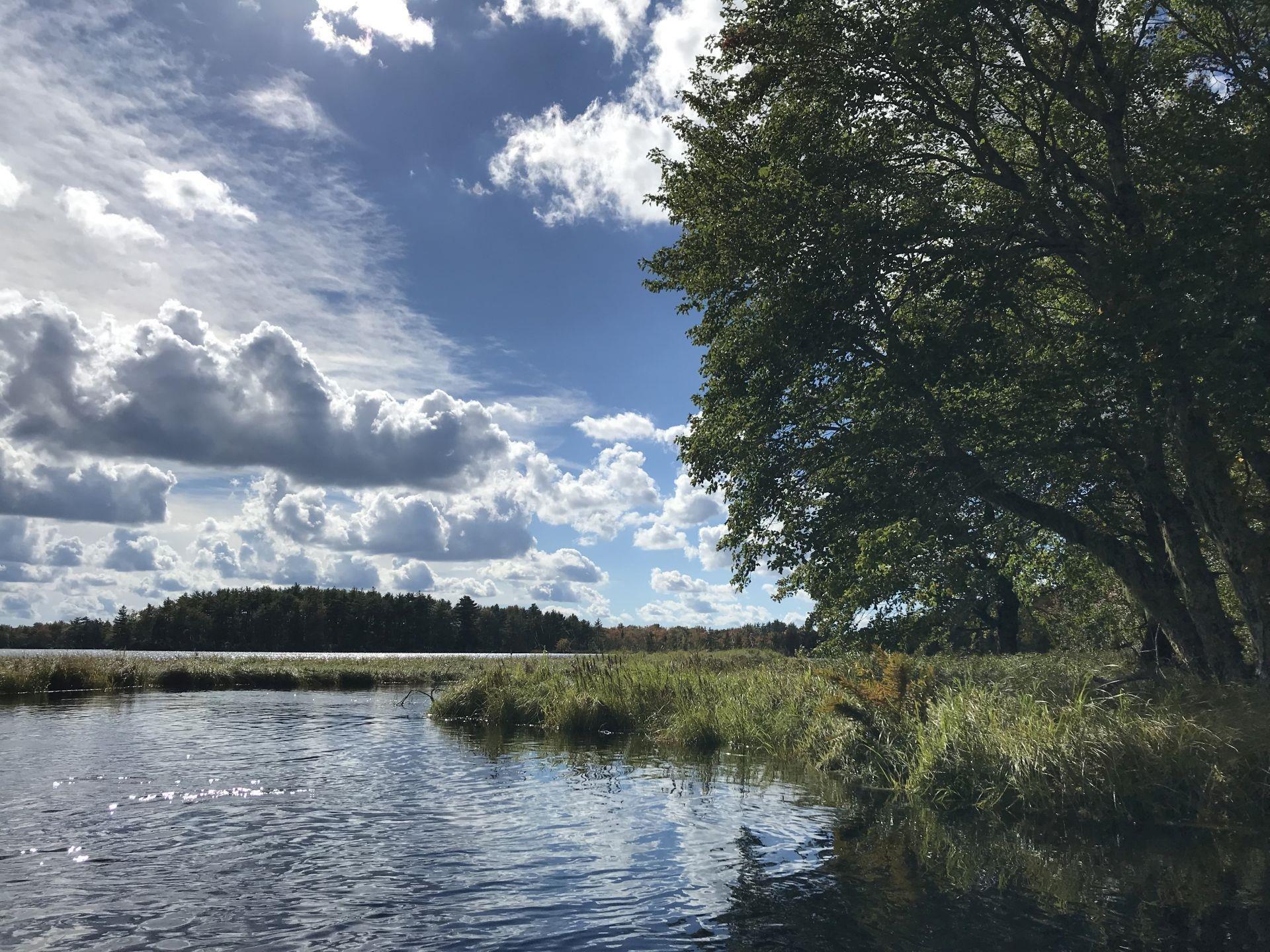 $169,000.00: Lot D Back Lake Road, Upper Ohio