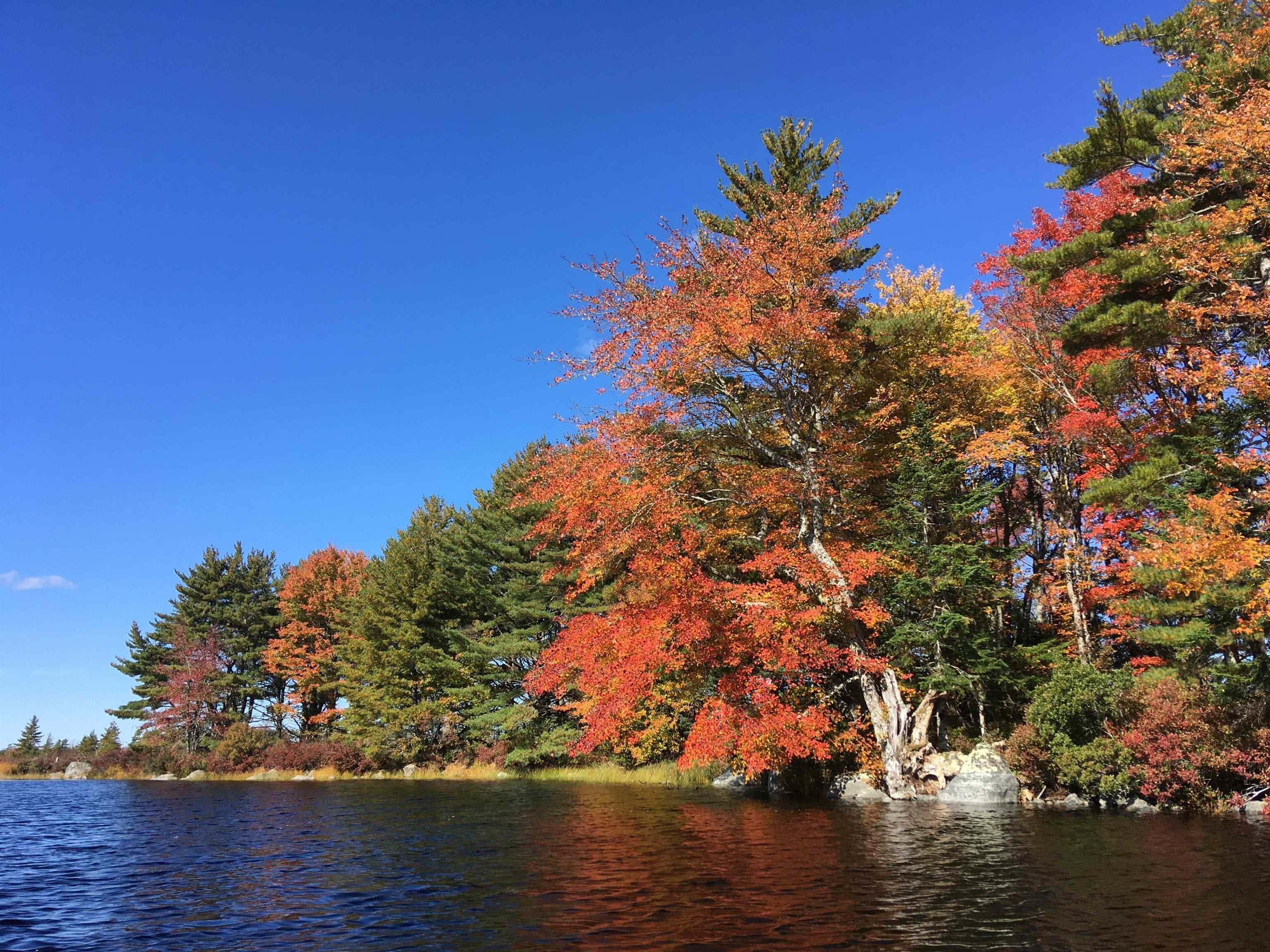 $169,000.00: Lot D Back Lake Road, Upper Ohio