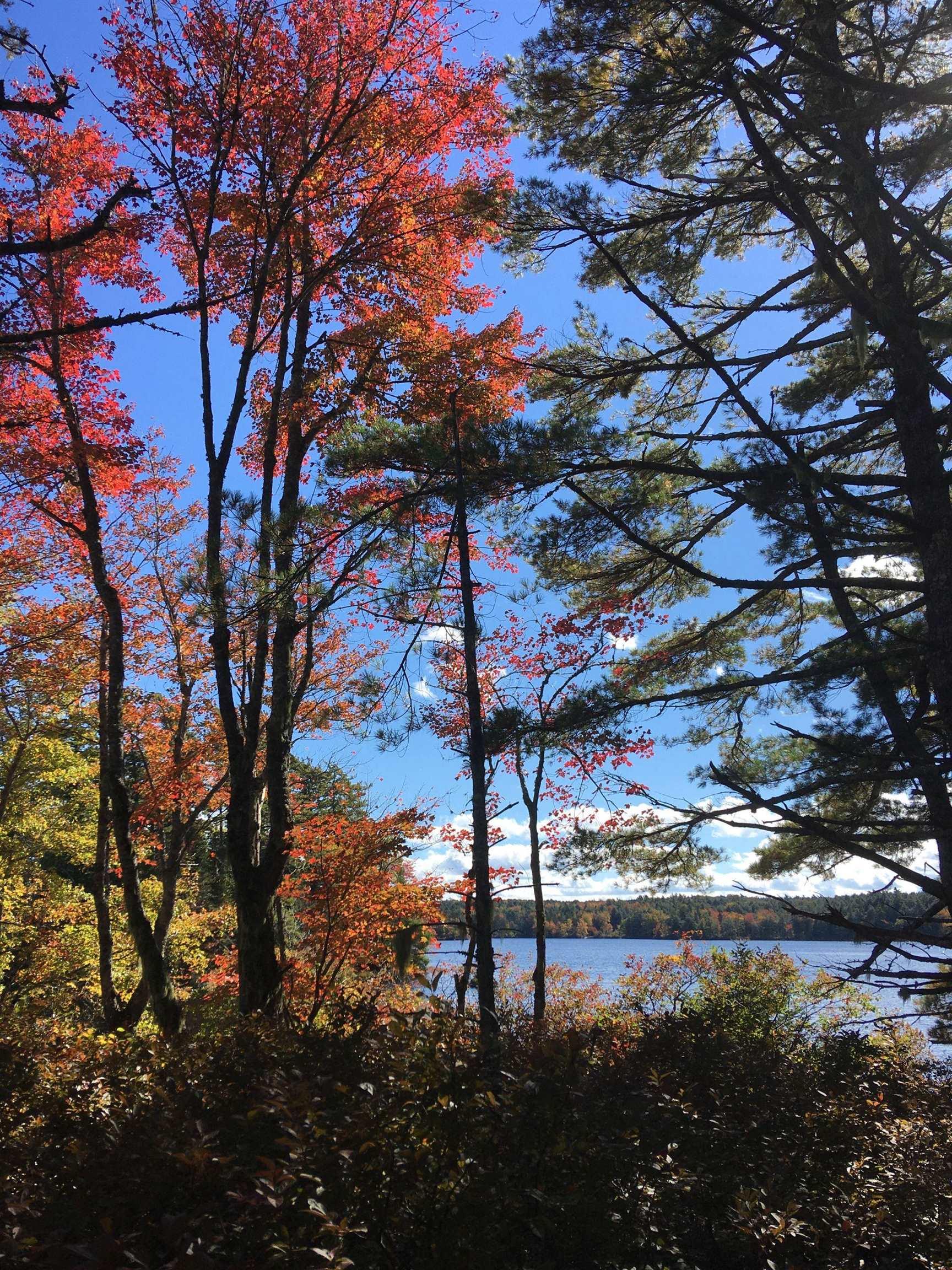 $169,000.00: Lot D Back Lake Road, Upper Ohio