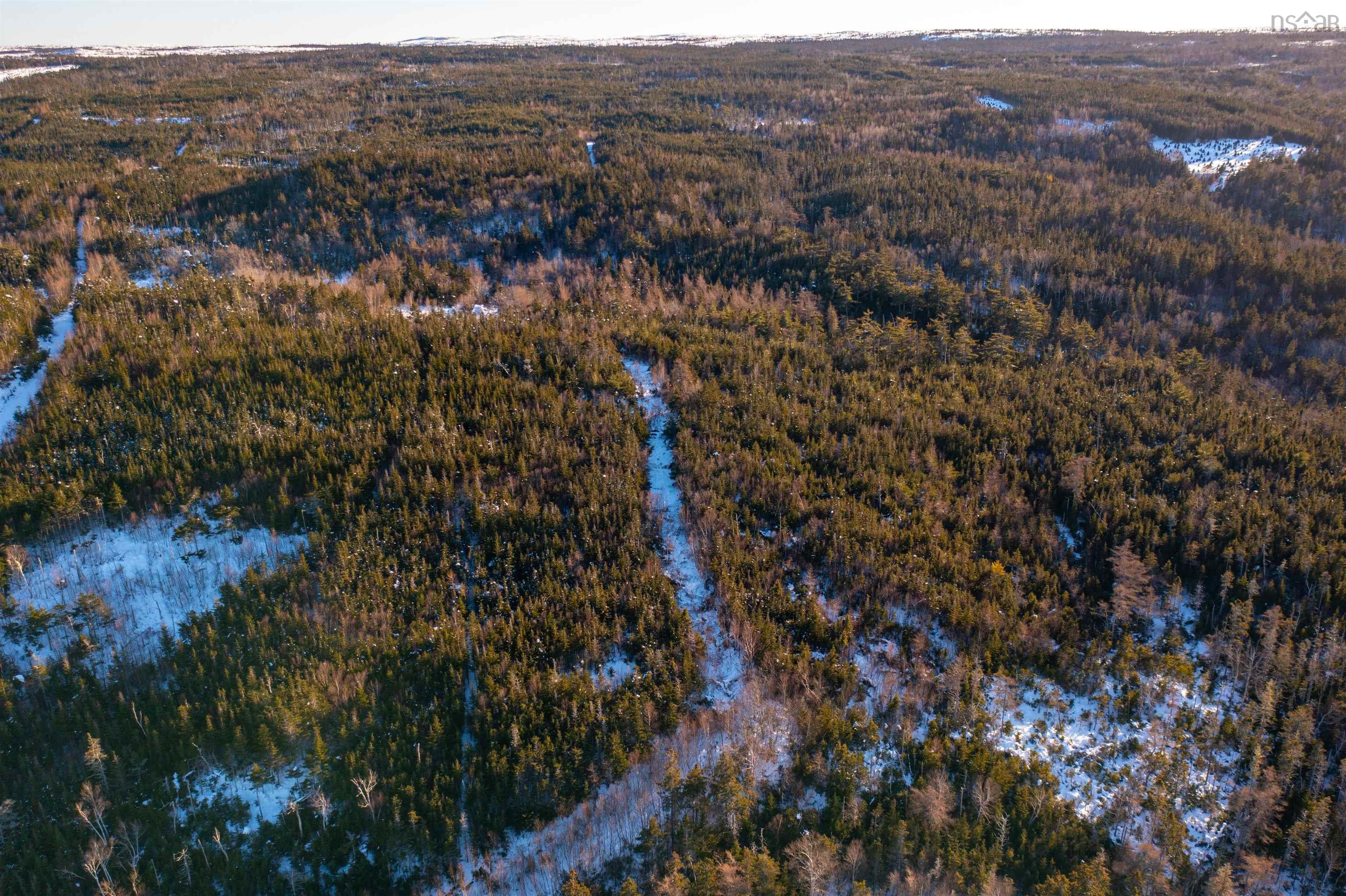 $220,000.00: 0 Highway 16, Peas Brook