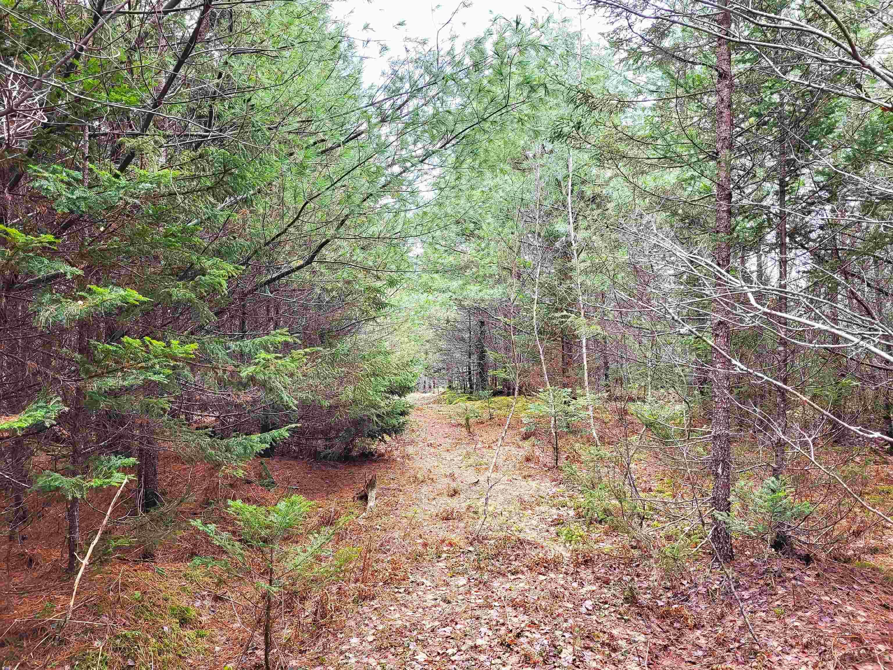 $49,900.00: Lot Silver Road, Nineveh