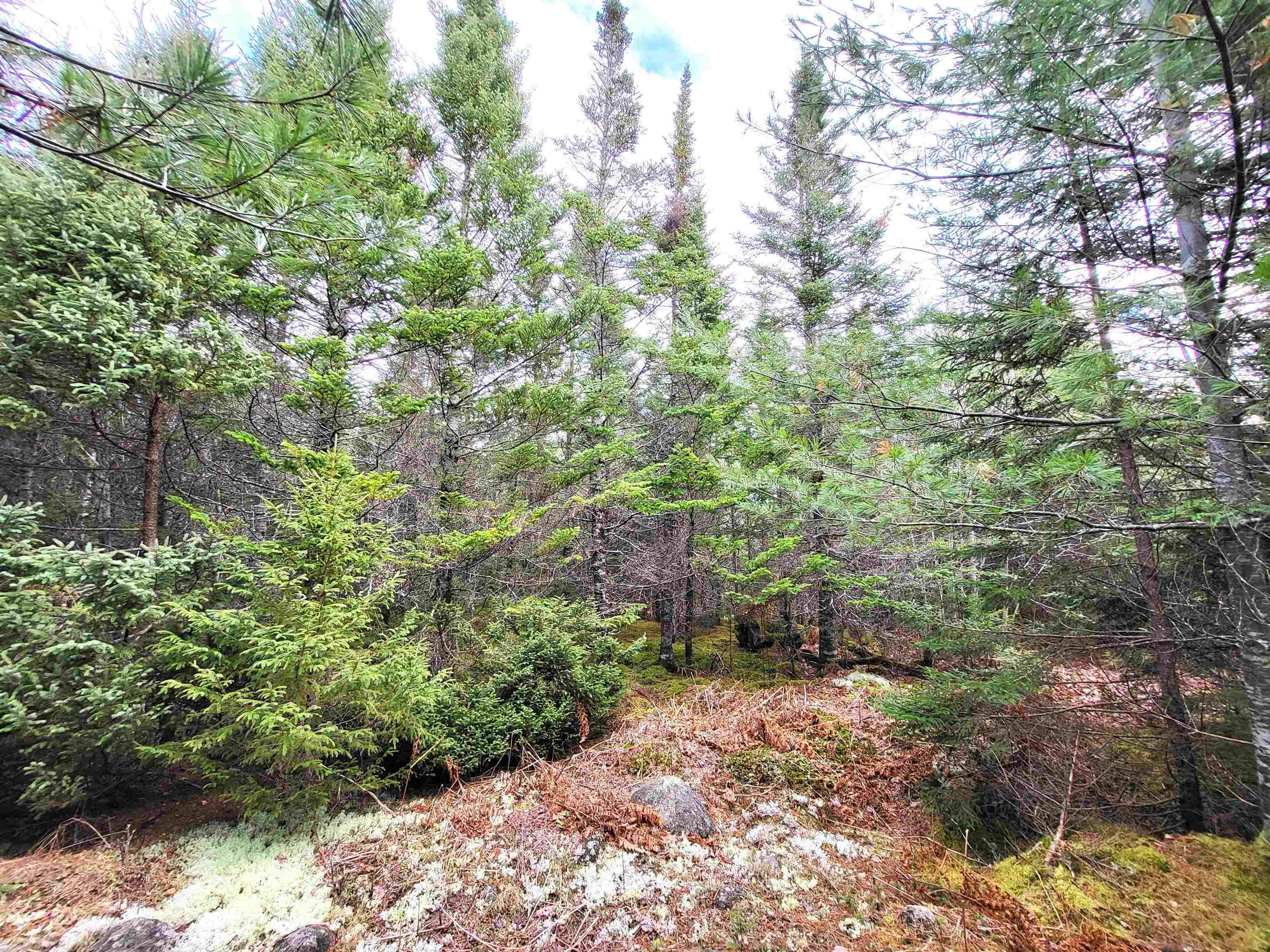 $49,900.00: Lot Silver Road, Nineveh