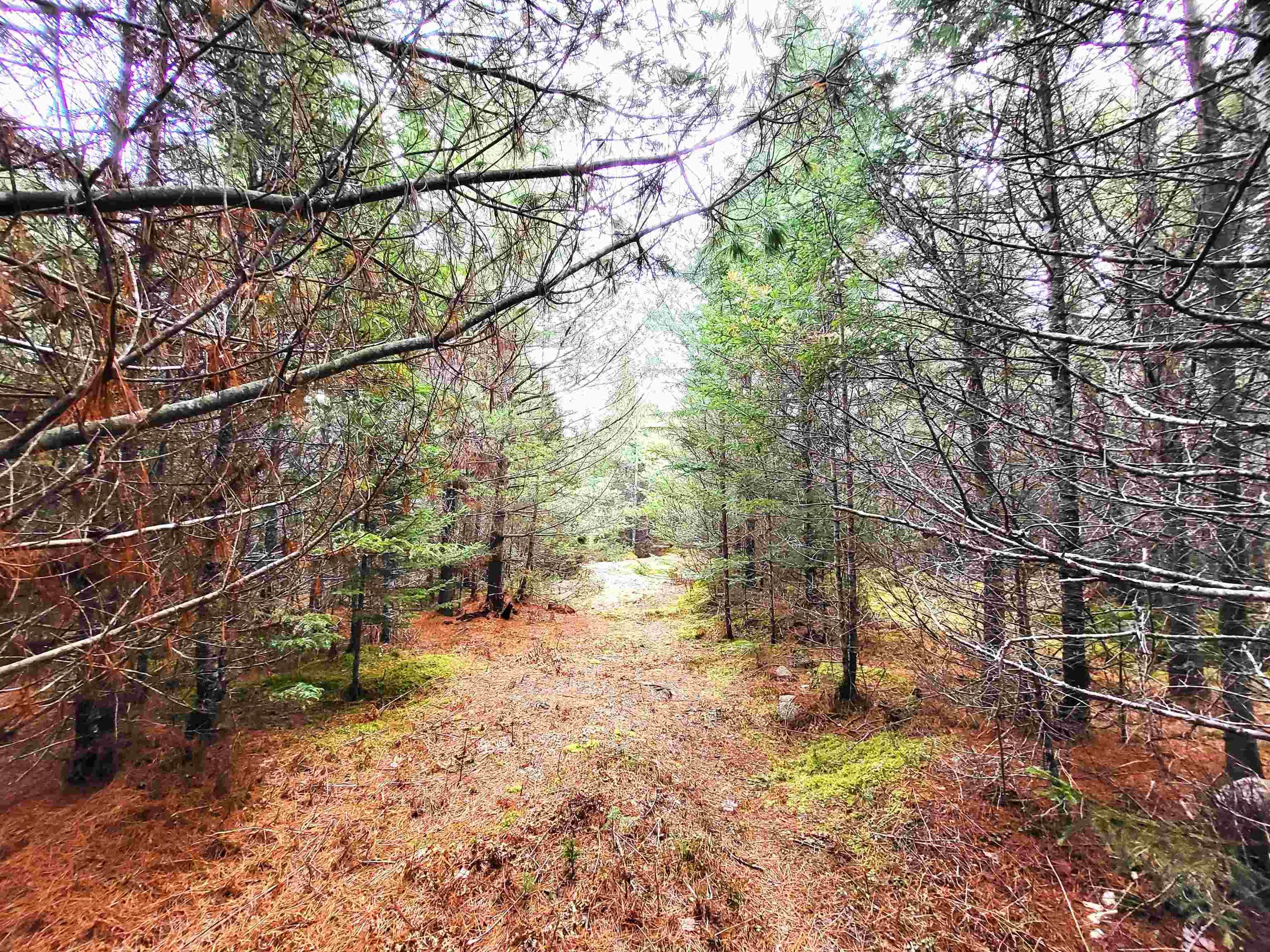 $49,900.00: Lot Silver Road, Nineveh