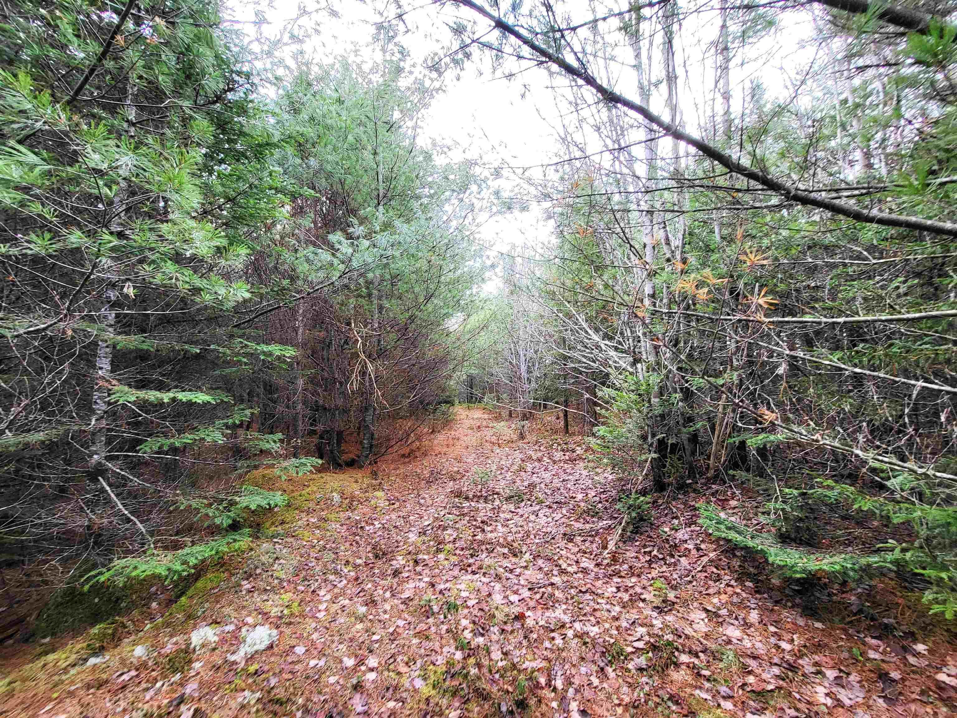 $49,900.00: Lot Silver Road, Nineveh