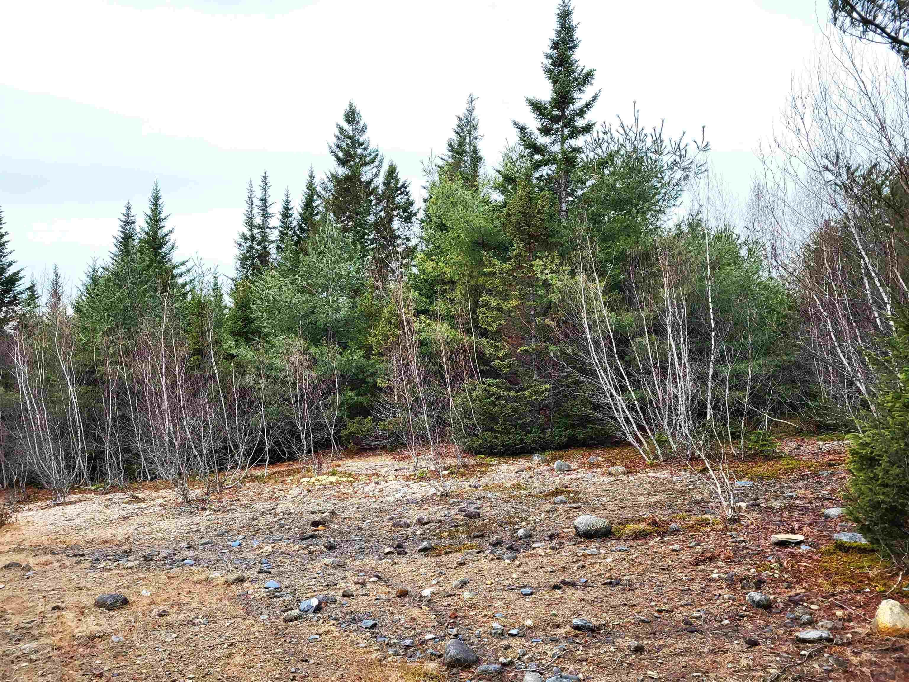 $49,900.00: Lot Silver Road, Nineveh
