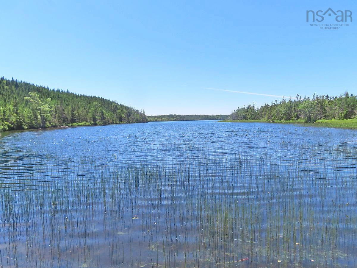 $225,000.00: 100 Acres Upper Grand Mira Road, Upper Grand Mira