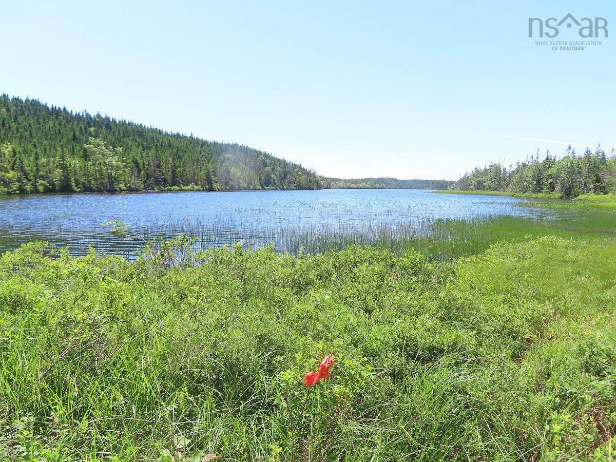 $225,000.00: 100 Acres Upper Grand Mira Road, Upper Grand Mira
