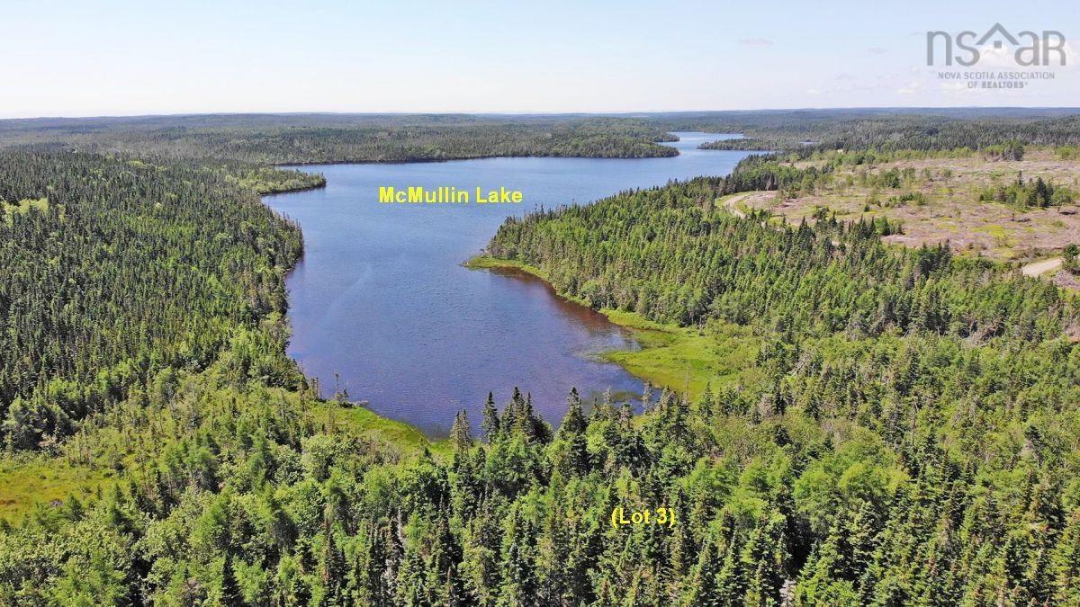$225,000.00: 100 Acres Upper Grand Mira Road, Upper Grand Mira