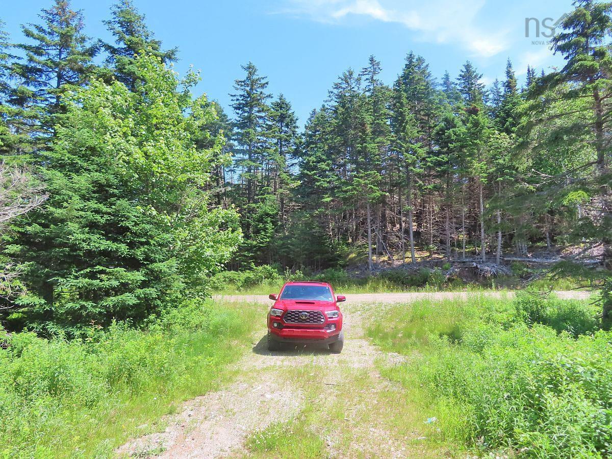 $225,000.00: 100 Acres Upper Grand Mira Road, Upper Grand Mira
