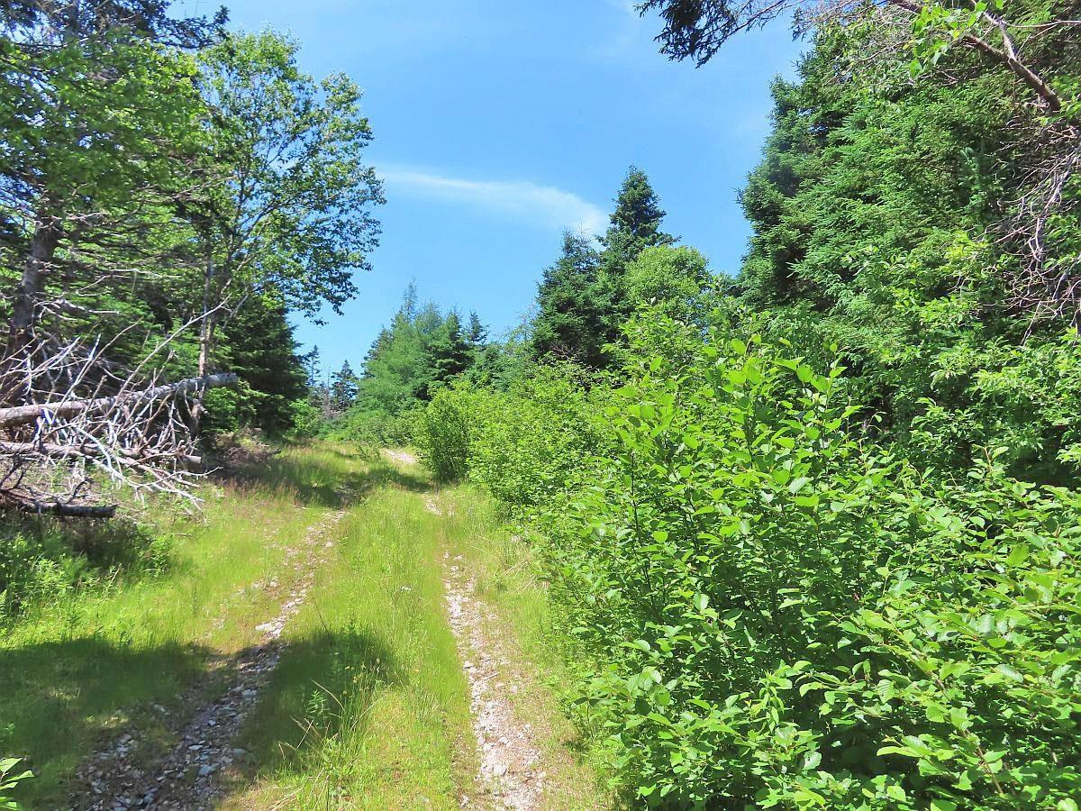 $225,000.00: 100 Acres Upper Grand Mira Road, Upper Grand Mira