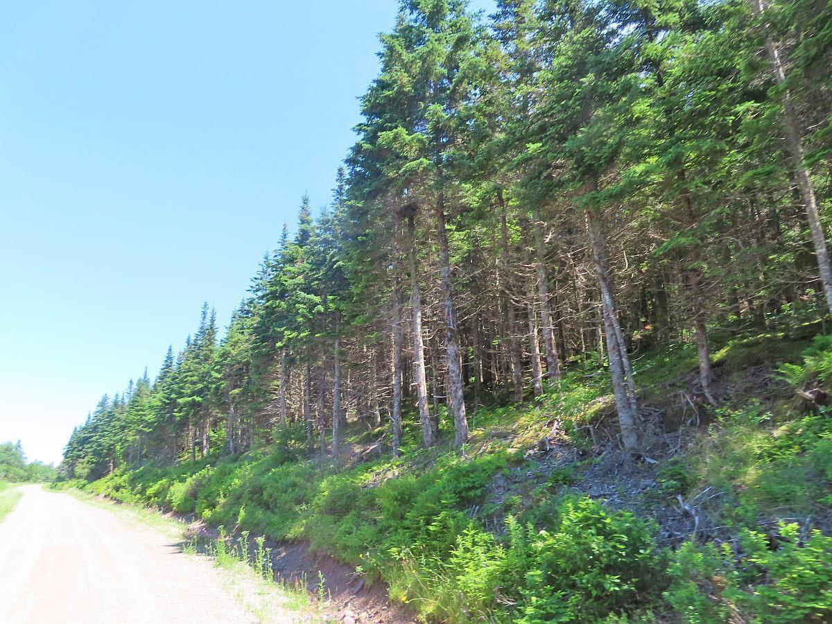 $225,000.00: 100 Acres Upper Grand Mira Road, Upper Grand Mira