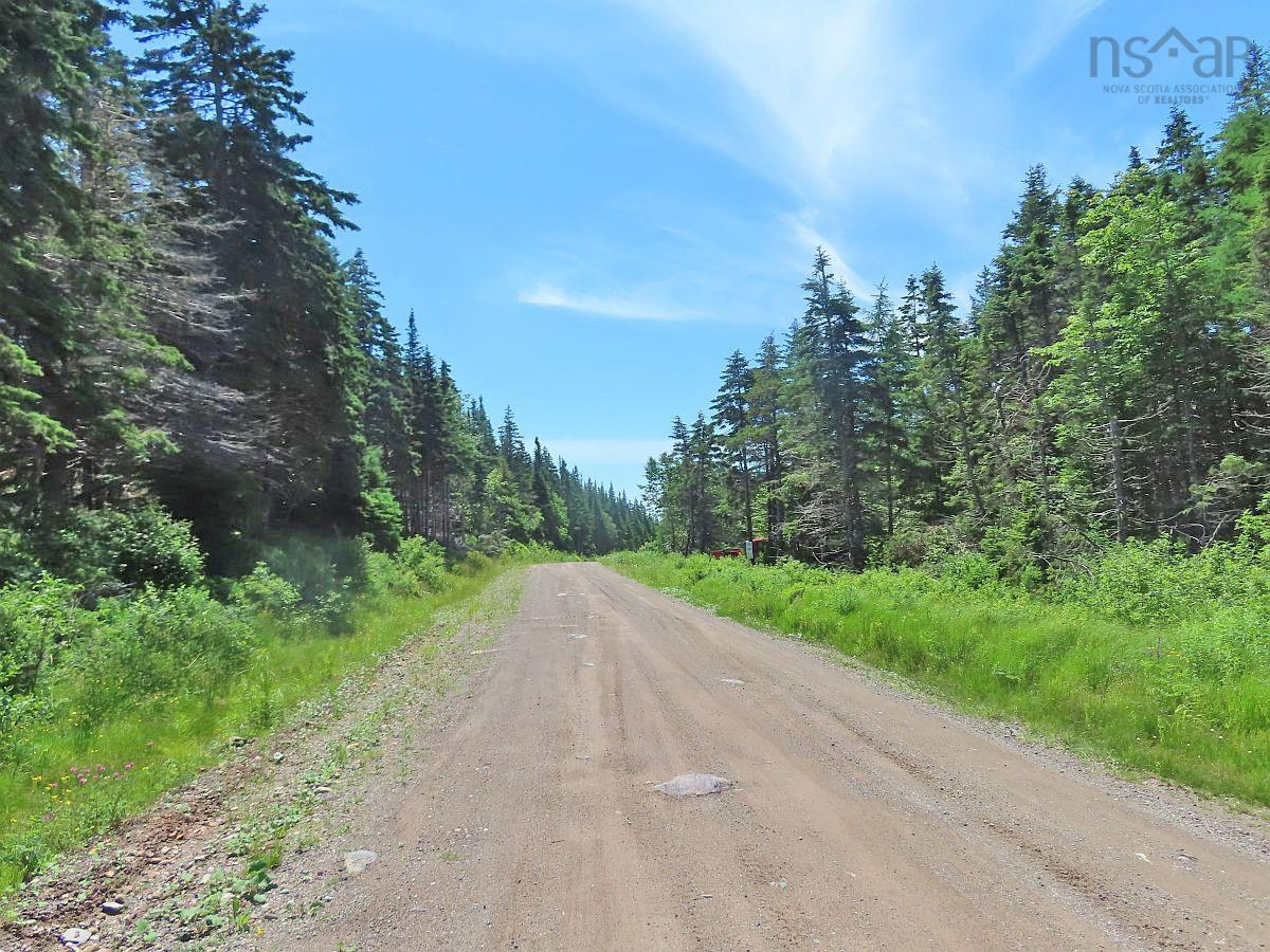 $225,000.00: 100 Acres Upper Grand Mira Road, Upper Grand Mira