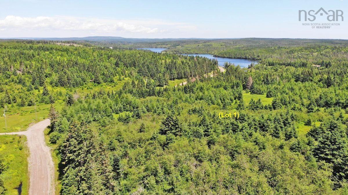 $225,000.00: 100 Acres Upper Grand Mira Road, Upper Grand Mira