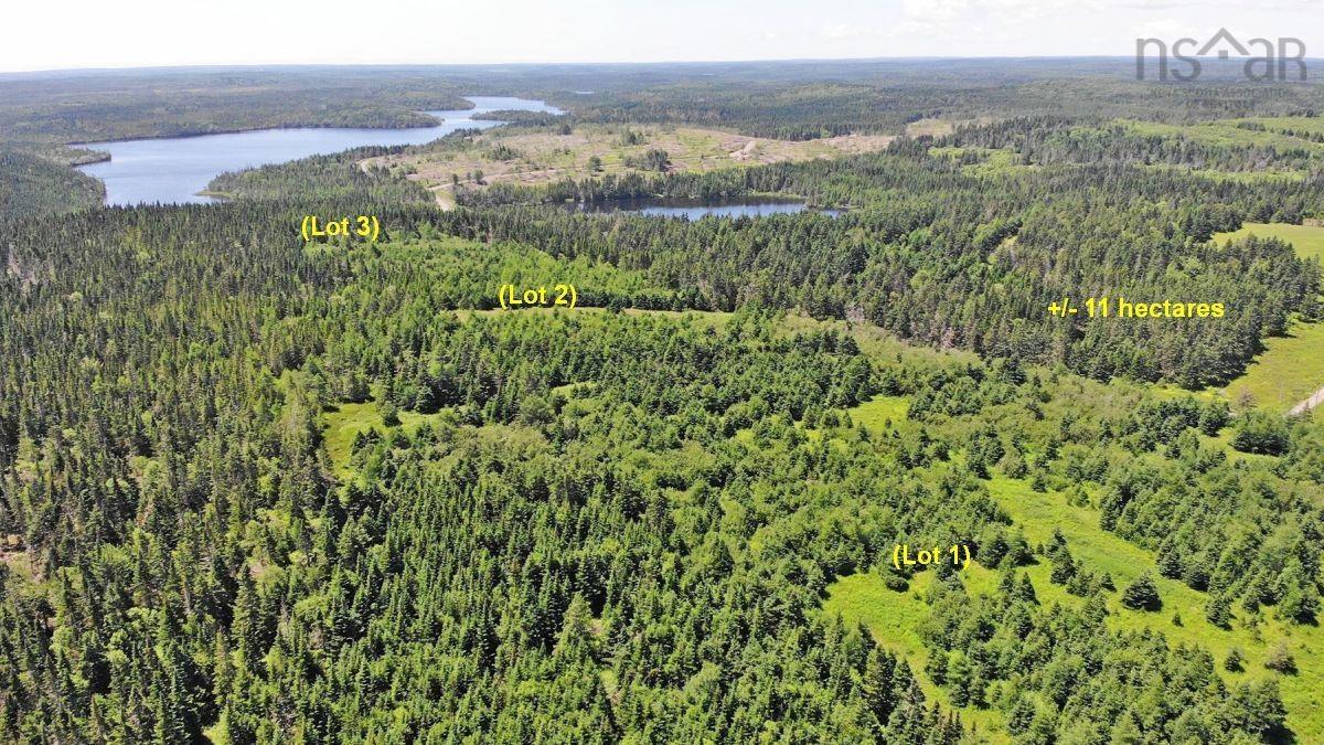 $225,000.00: 100 Acres Upper Grand Mira Road, Upper Grand Mira