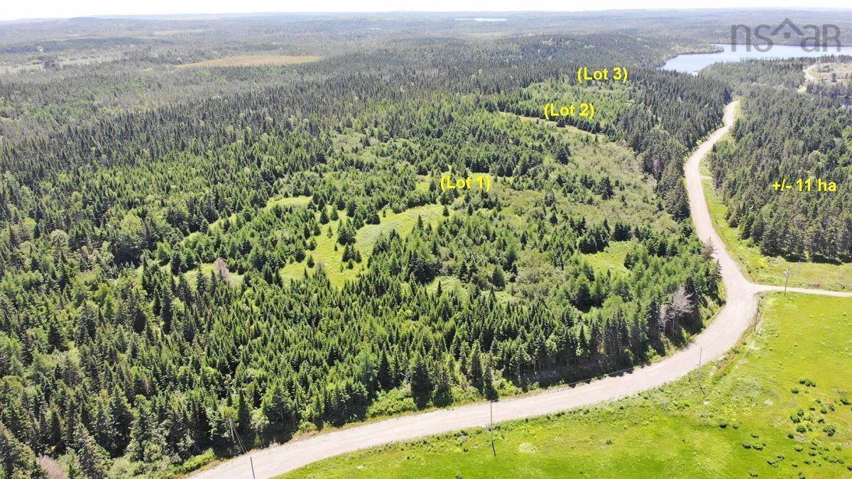 $225,000.00: 100 Acres Upper Grand Mira Road, Upper Grand Mira
