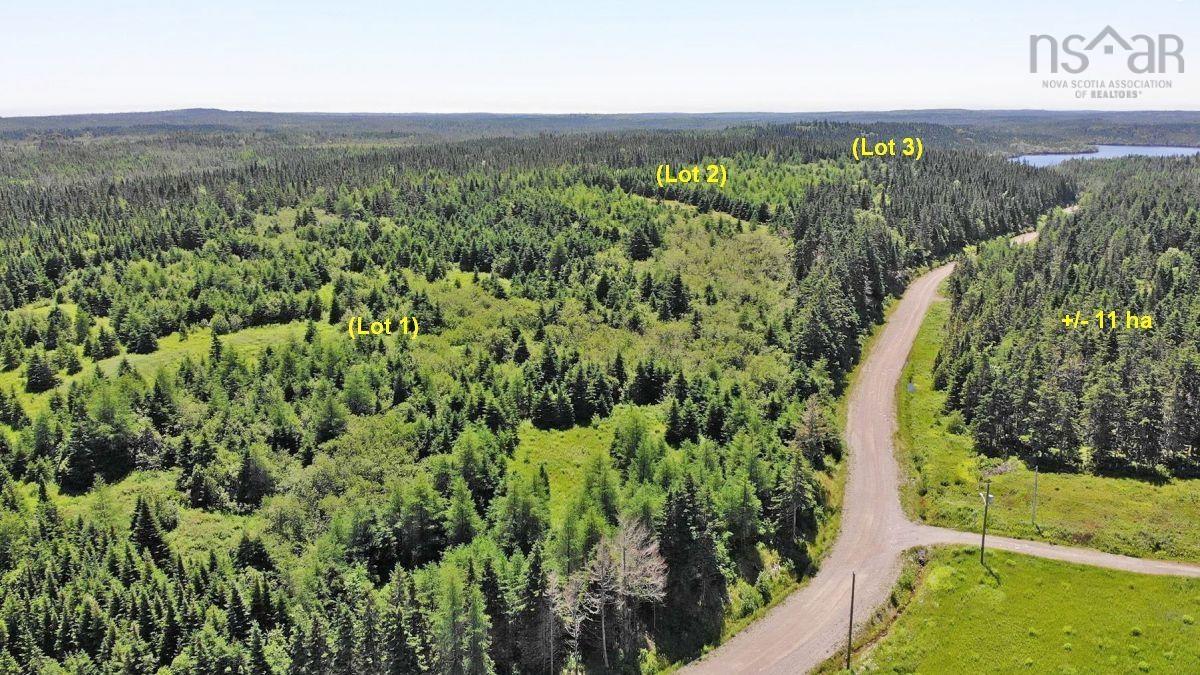 $225,000.00: 100 Acres Upper Grand Mira Road, Upper Grand Mira
