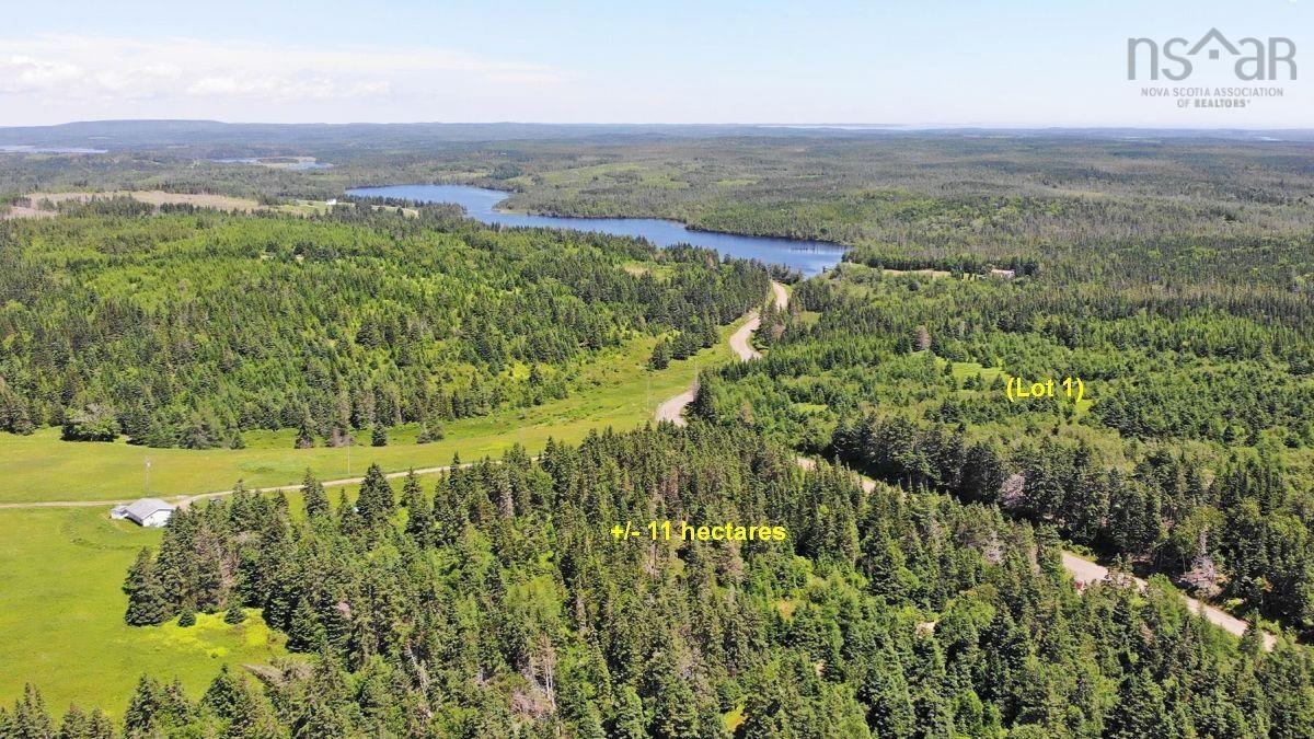 $225,000.00: 100 Acres Upper Grand Mira Road, Upper Grand Mira