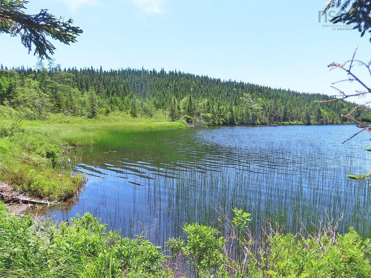 $225,000.00: 100 Acres Upper Grand Mira Road, Upper Grand Mira