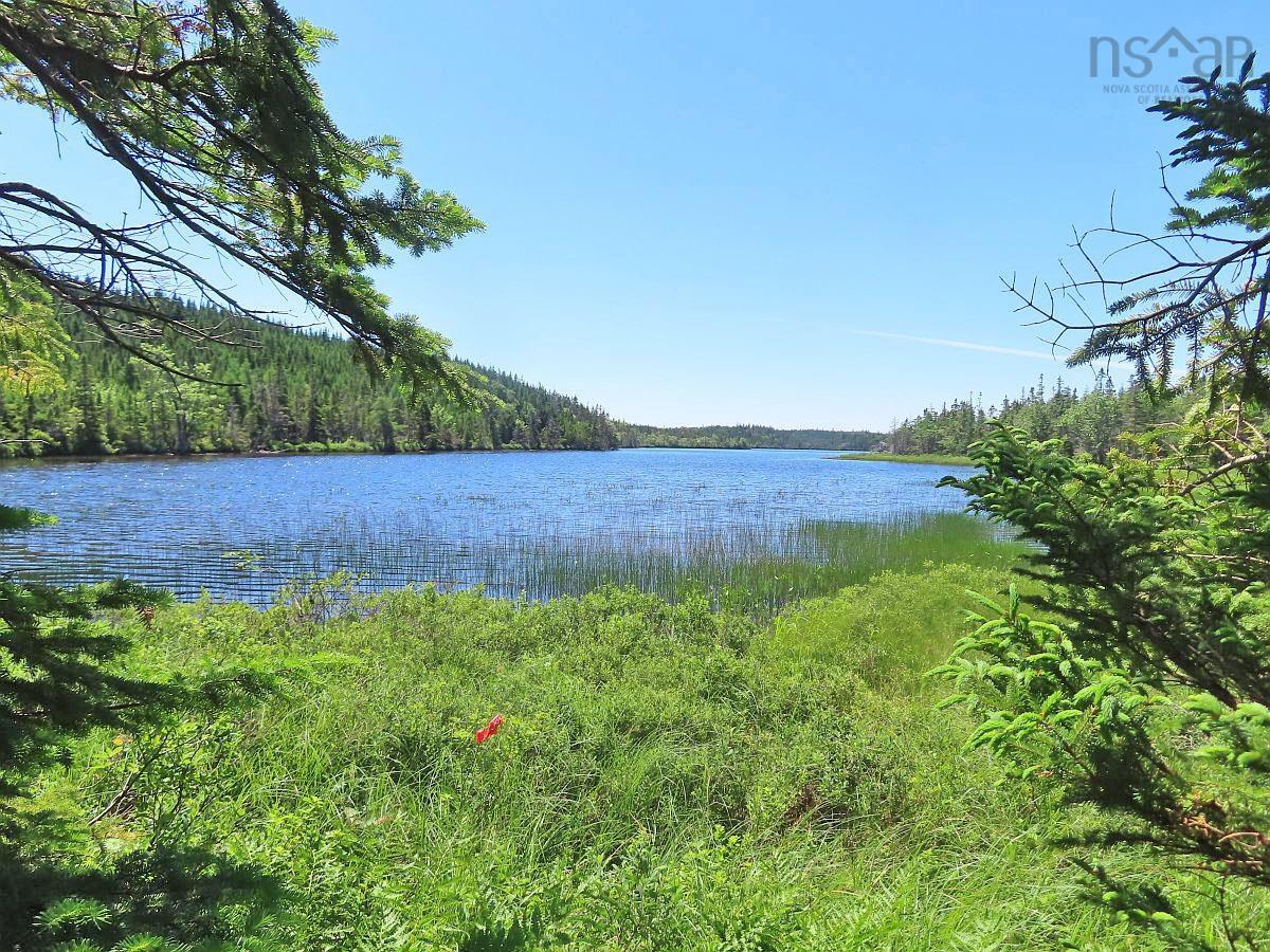 $225,000.00: 100 Acres Upper Grand Mira Road, Upper Grand Mira