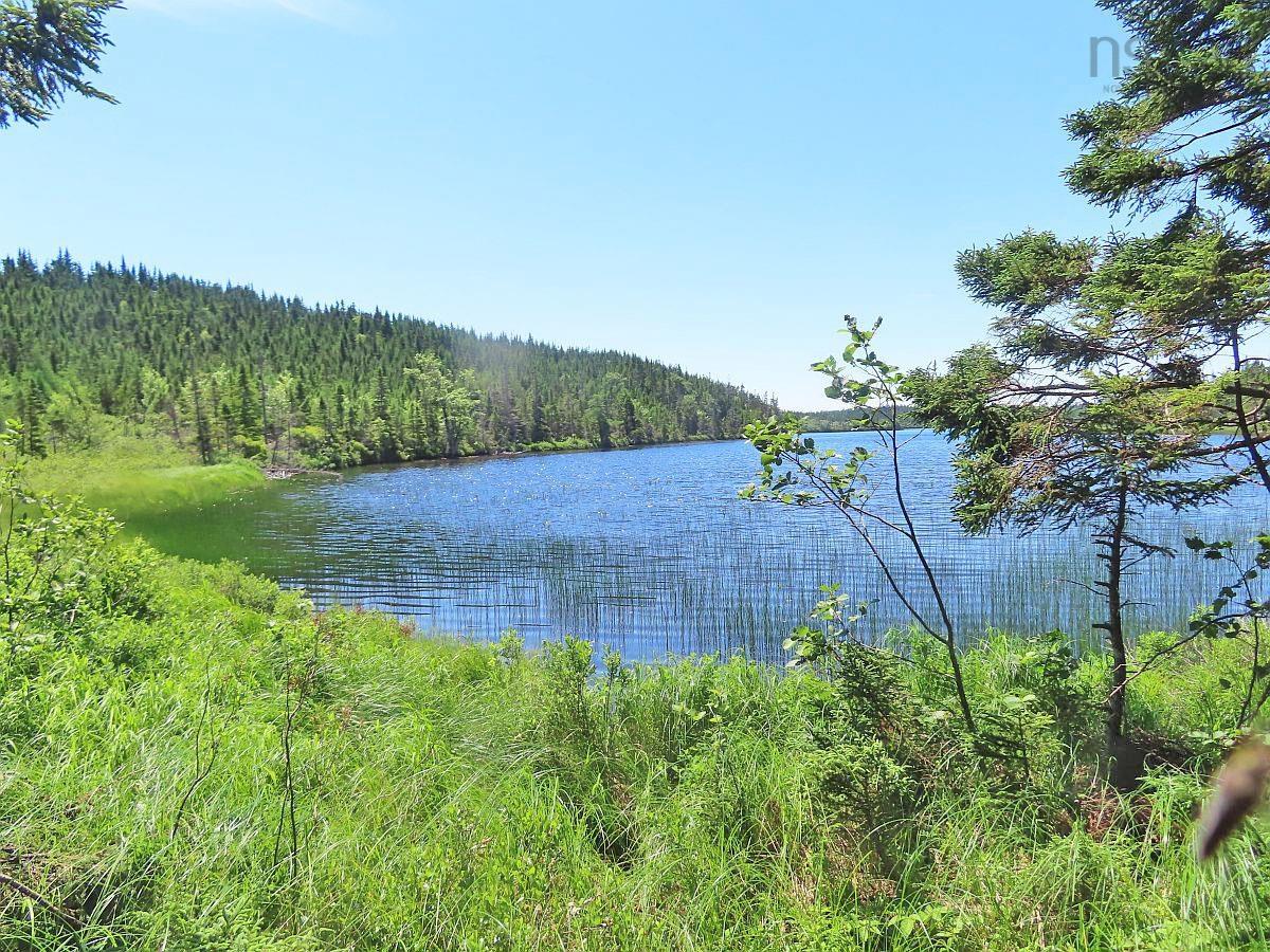 $225,000.00: 100 Acres Upper Grand Mira Road, Upper Grand Mira