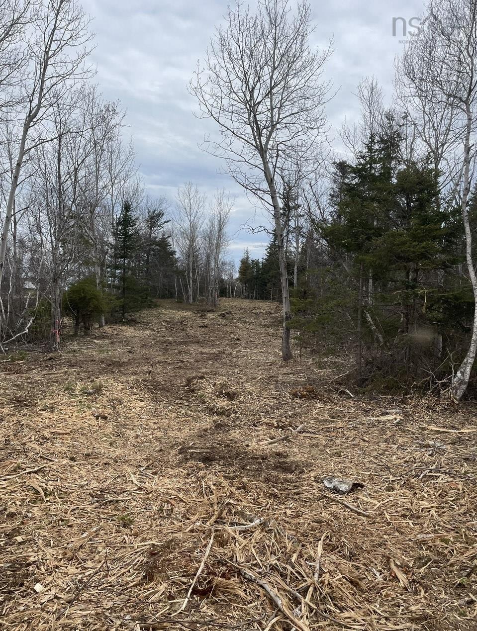 $250,000.00: Lot 4 Shore Road, Lower Barneys River
