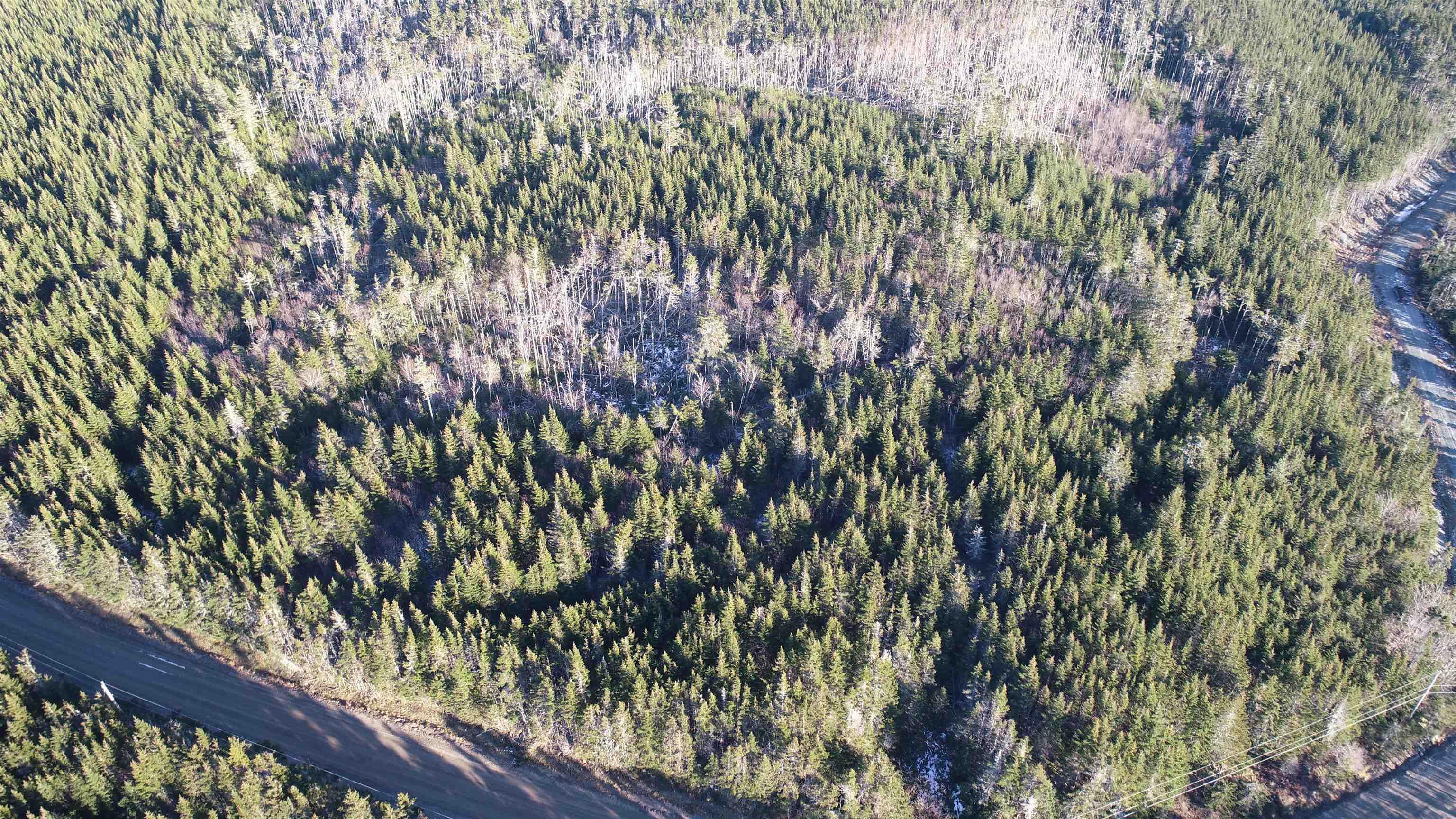 $89,900.00: Lot 6 Pyes Head Road, Liscomb