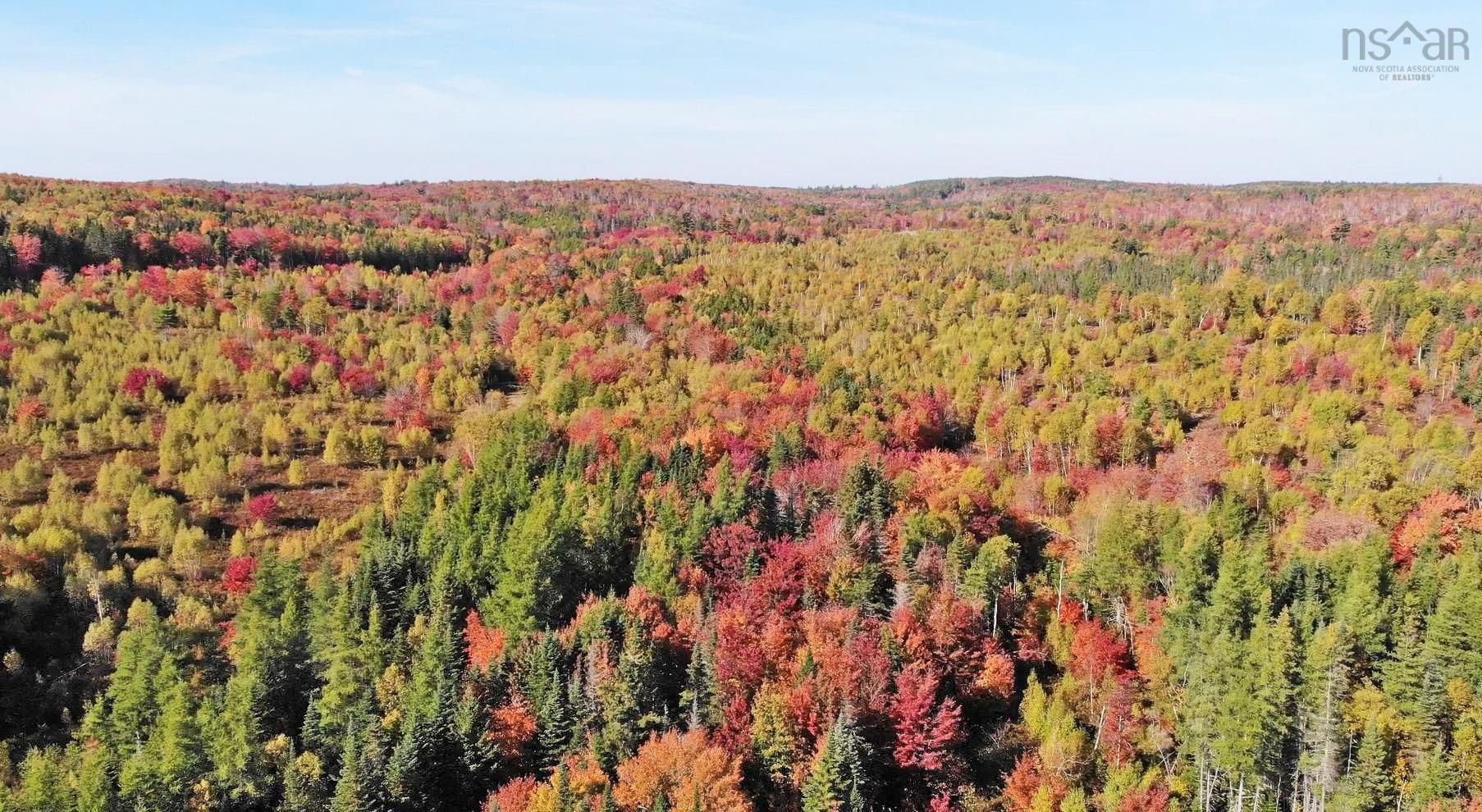 $167,000.00: 116.5 ACRES 348 Highway, Smithfield