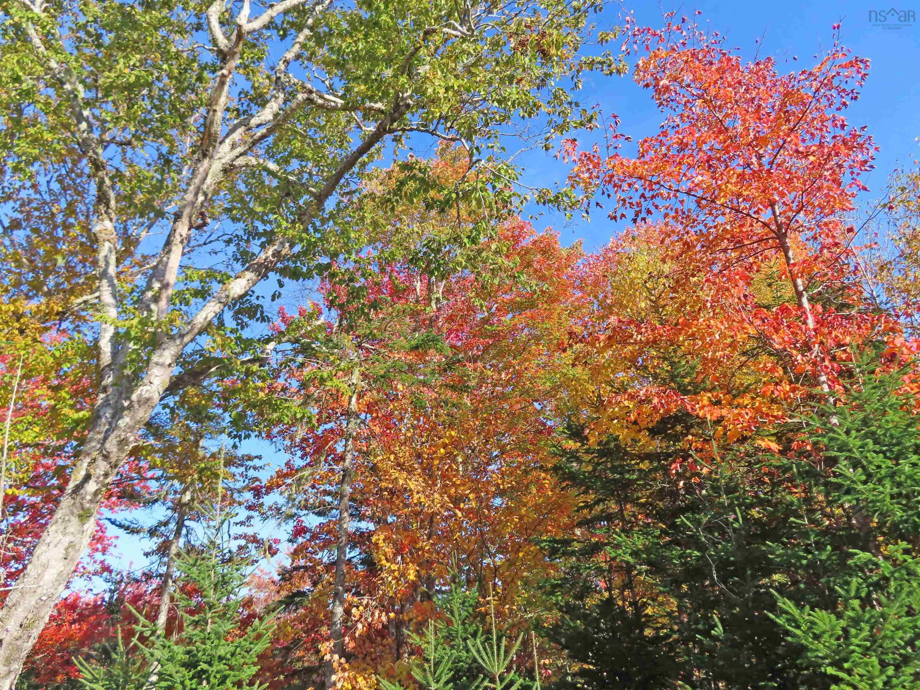 $167,000.00: 116.5 ACRES 348 Highway, Smithfield