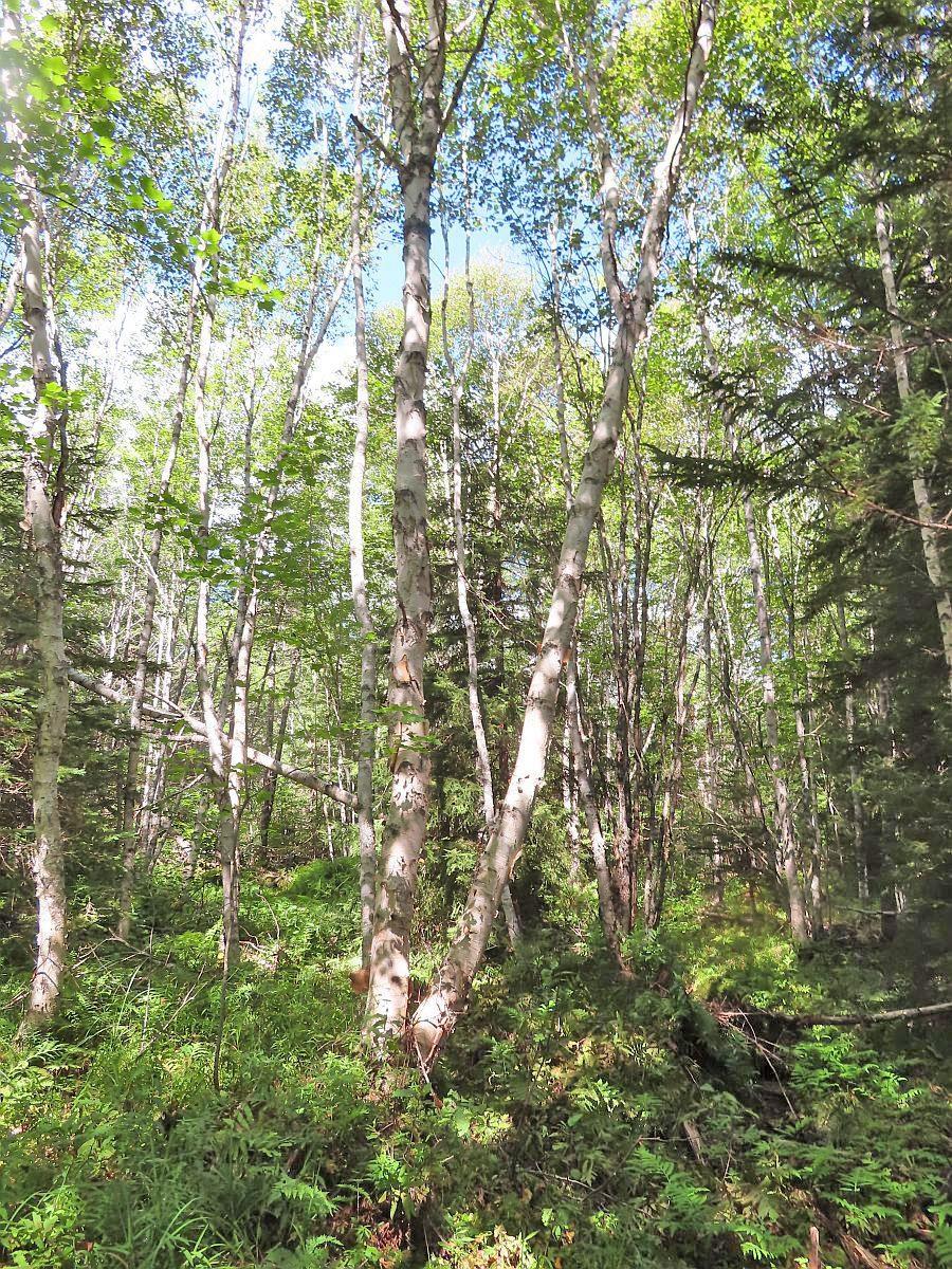 $167,000.00: 116.5 ACRES 348 Highway, Smithfield