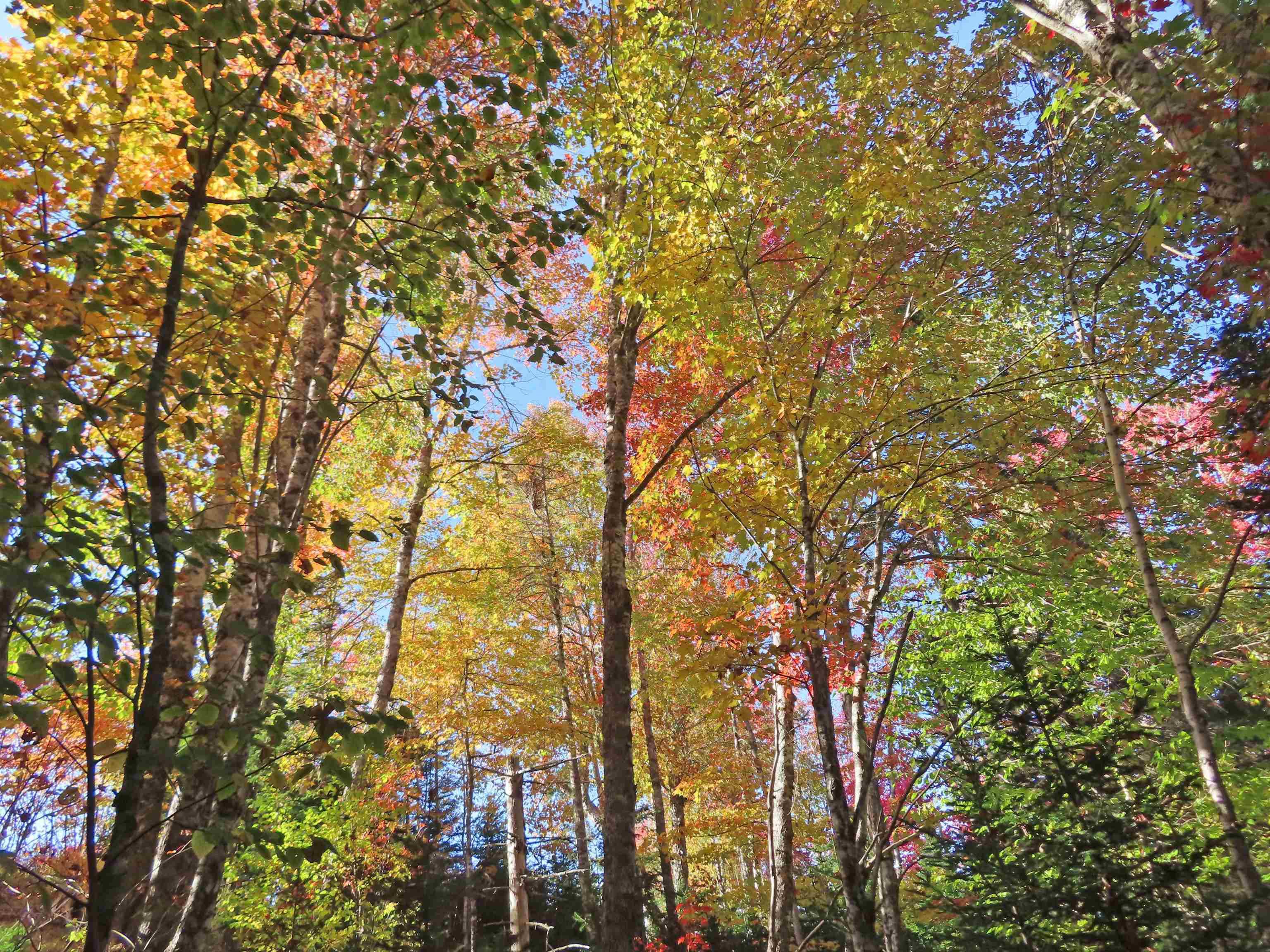 $167,000.00: 116.5 ACRES 348 Highway, Smithfield