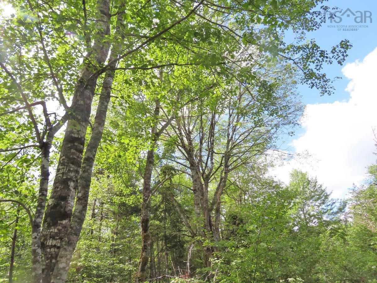 $167,000.00: 116.5 ACRES 348 Highway, Smithfield