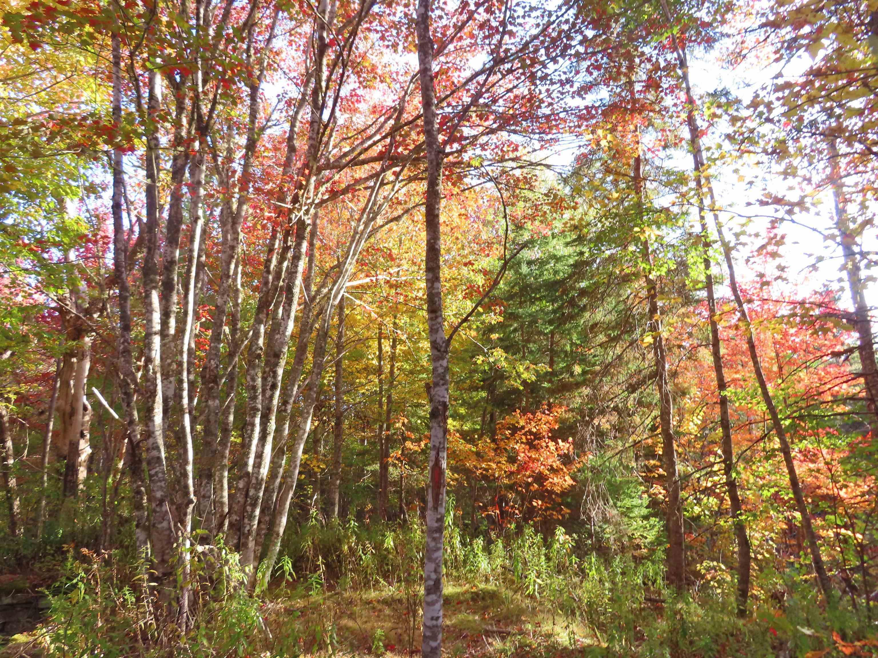 $167,000.00: 116.5 ACRES 348 Highway, Smithfield