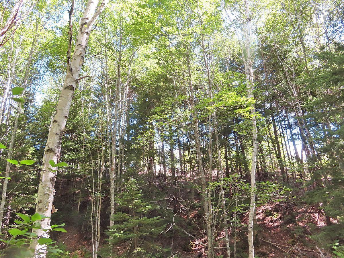 $167,000.00: 116.5 ACRES 348 Highway, Smithfield